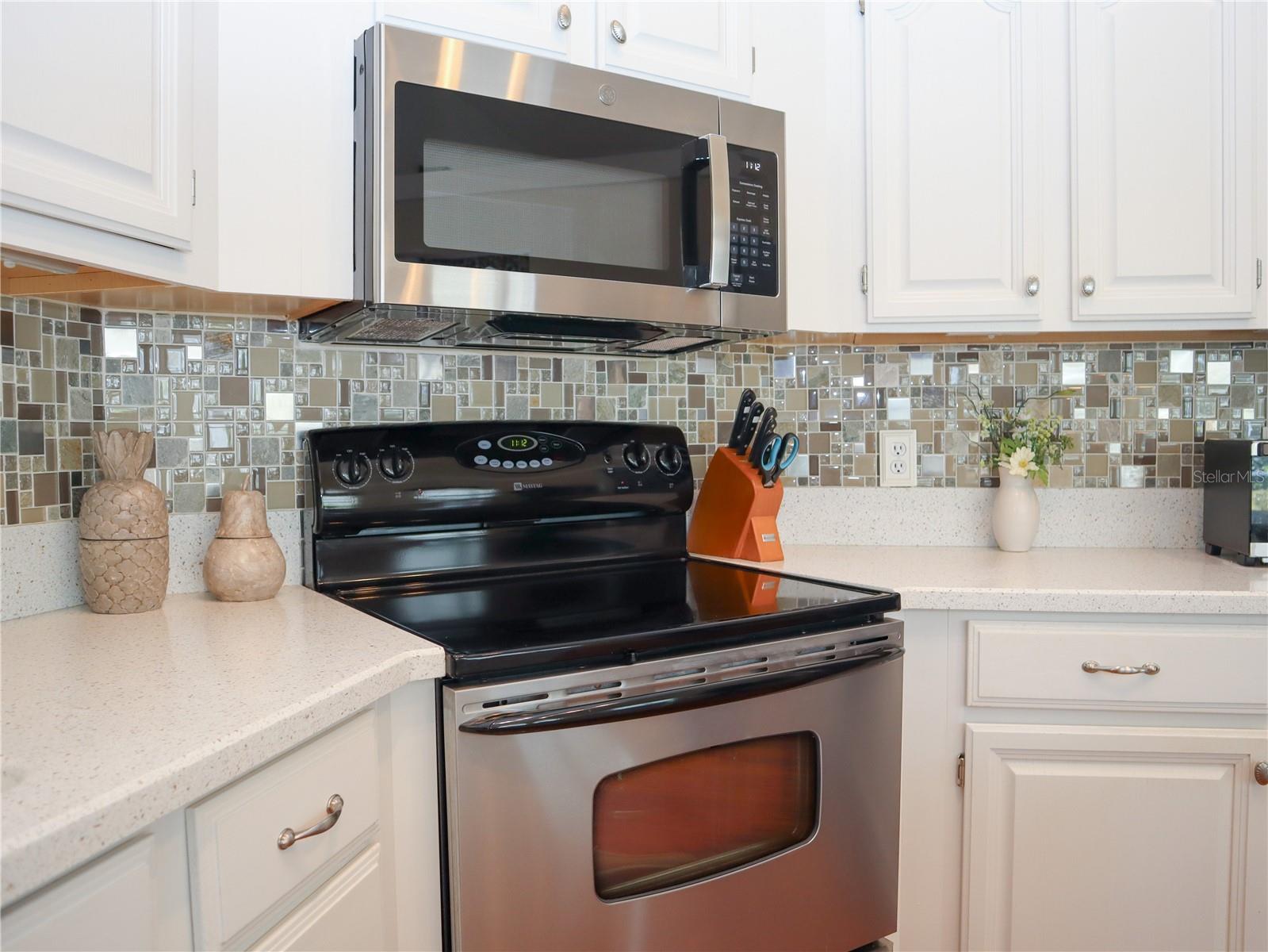 10108 SILVER BLUFF DR, LEESBURG, FL, 34788