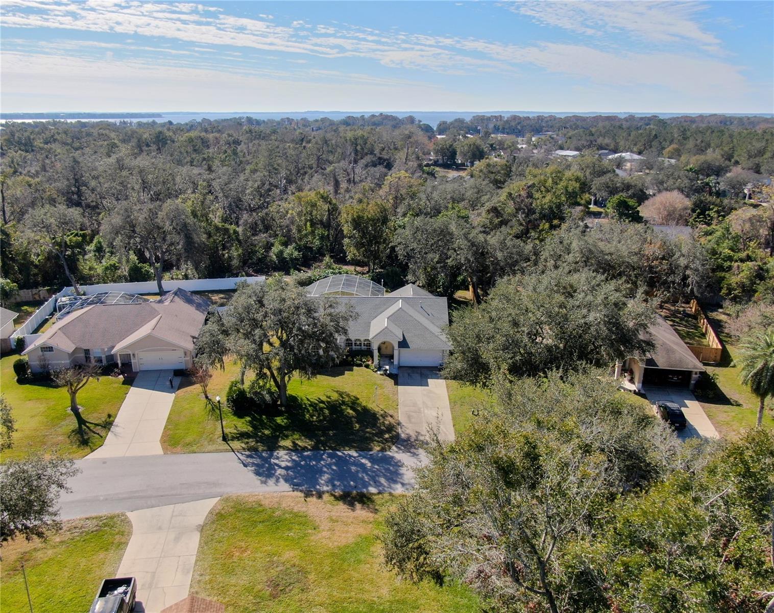 10108 SILVER BLUFF DR, LEESBURG, FL, 34788