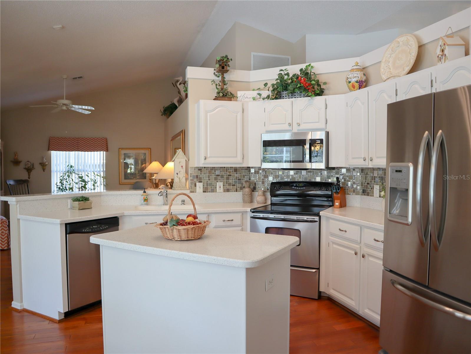 10108 SILVER BLUFF DR, LEESBURG, FL, 34788