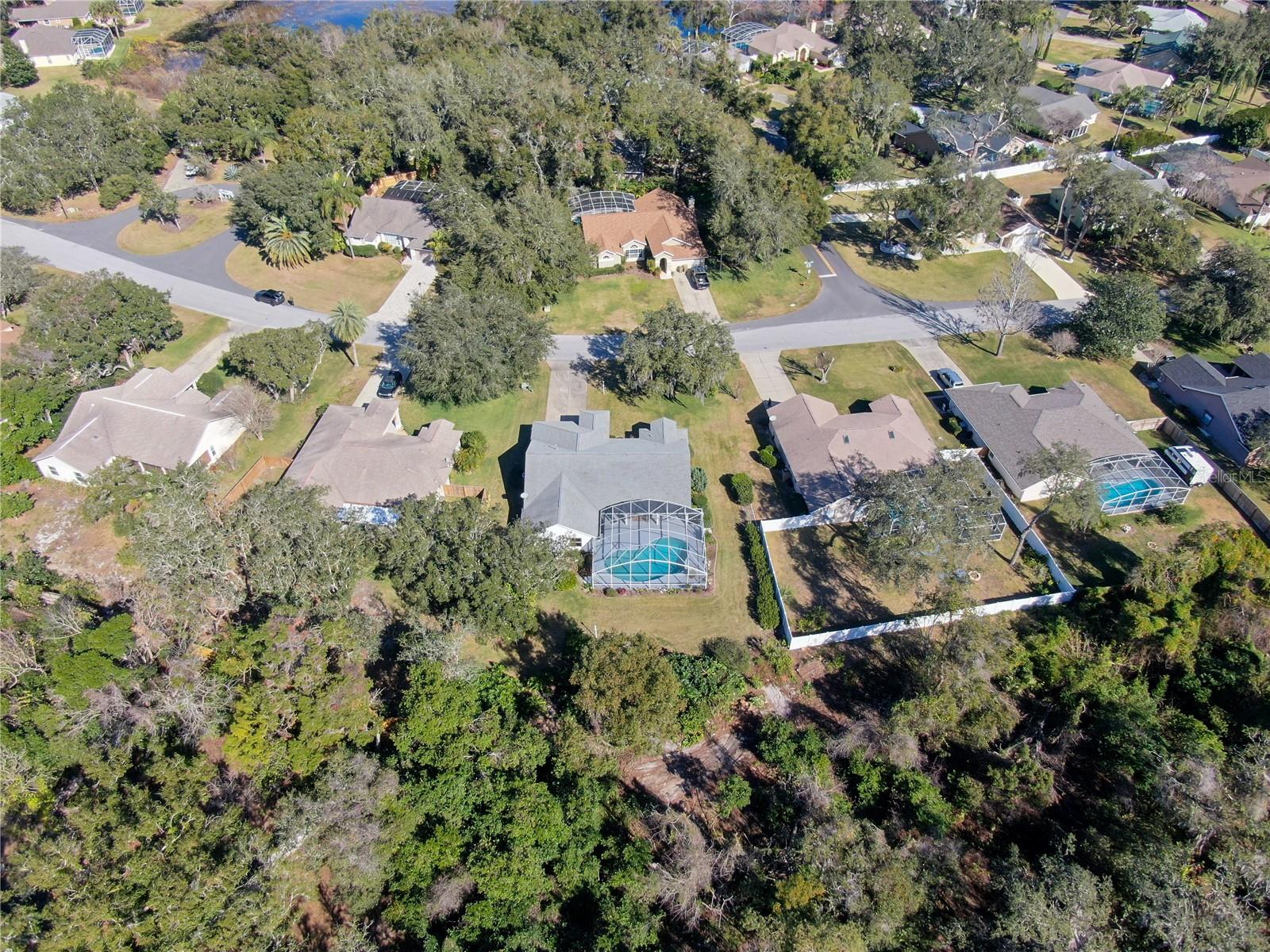 10108 SILVER BLUFF DR, LEESBURG, FL, 34788