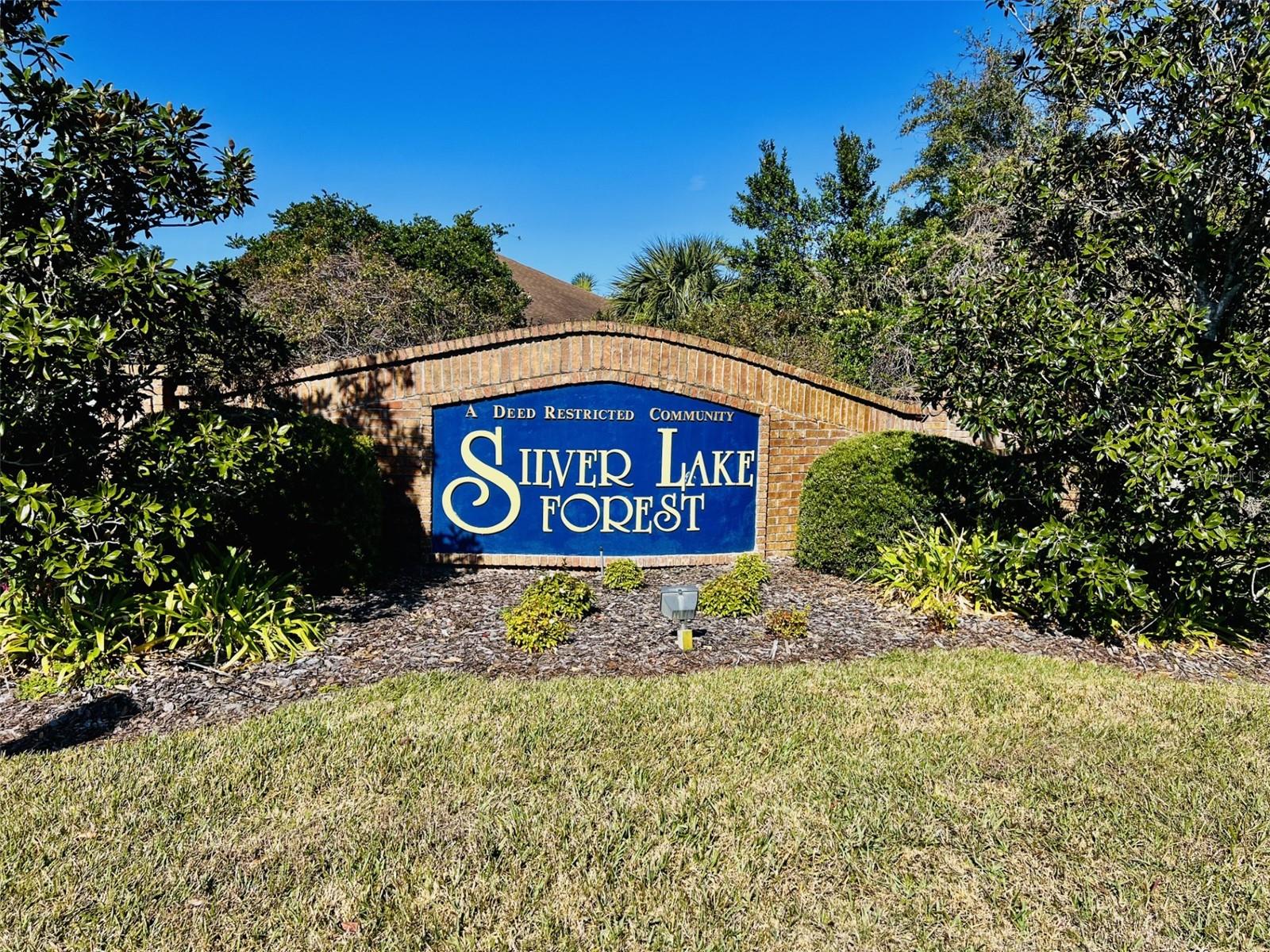 10108 SILVER BLUFF DR, LEESBURG, FL, 34788