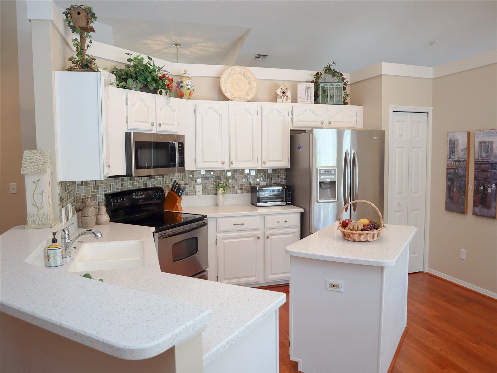 10108 SILVER BLUFF DR, LEESBURG, FL, 34788