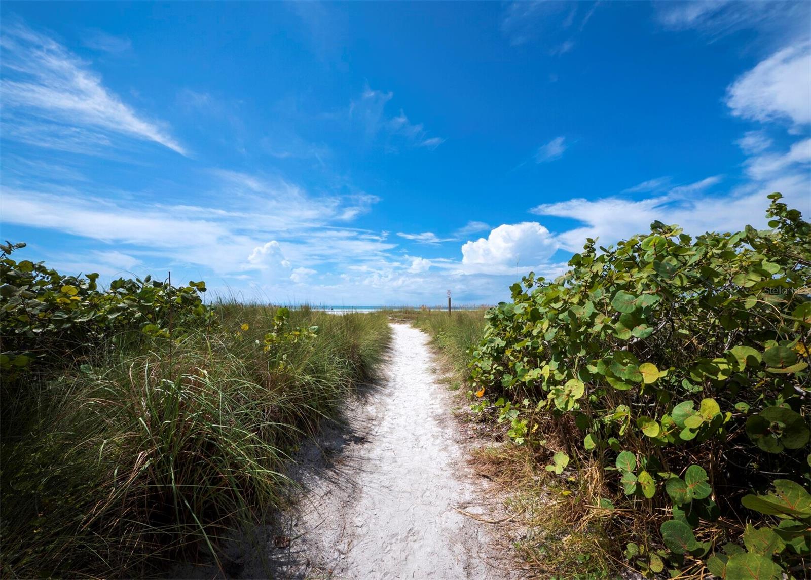 475 BENJAMIN FRANKLIN DR #215, SARASOTA, FL, 34236