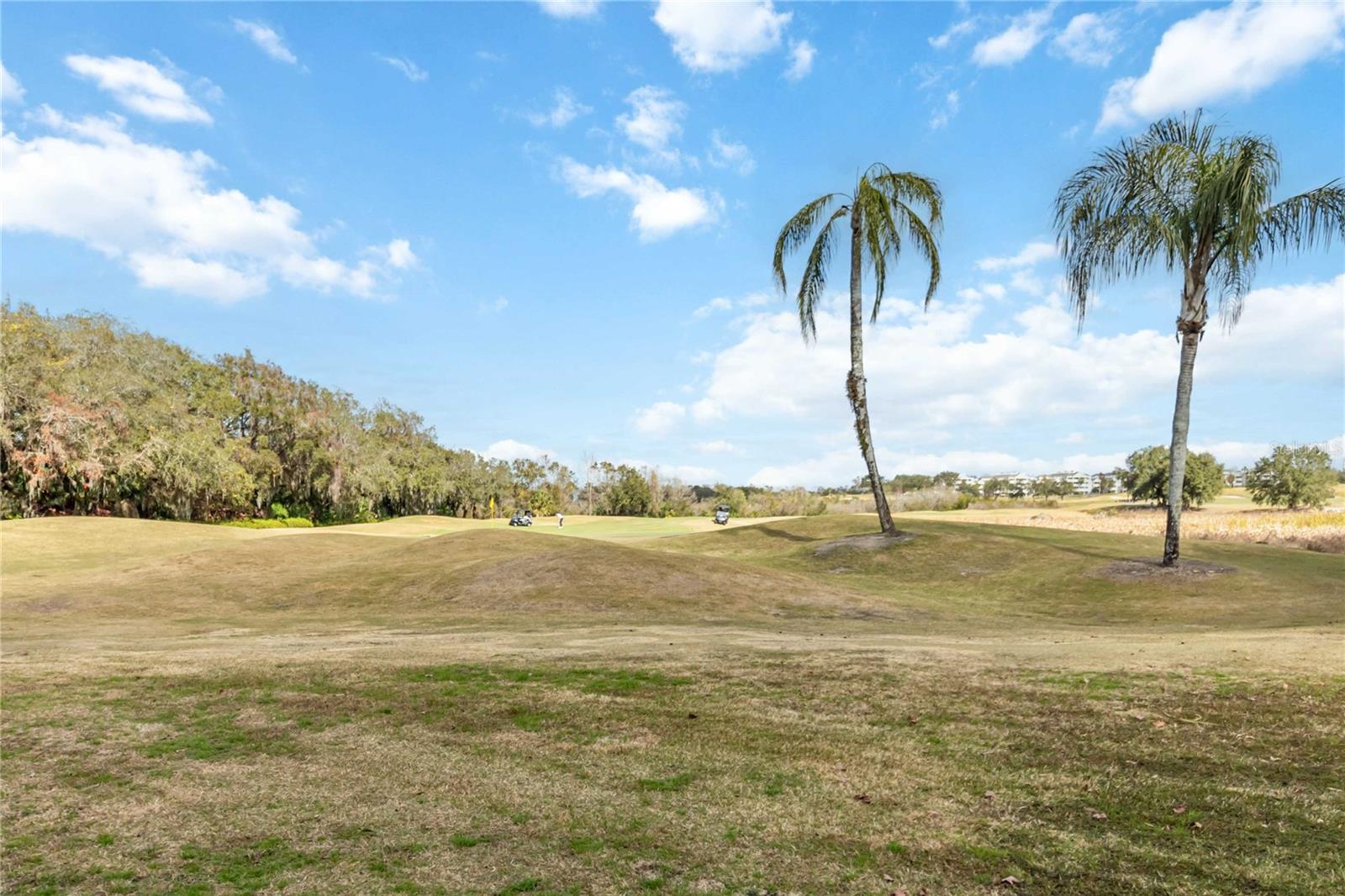 7703 HERITAGE CROSSING WAY #301, REUNION, FL, 34747