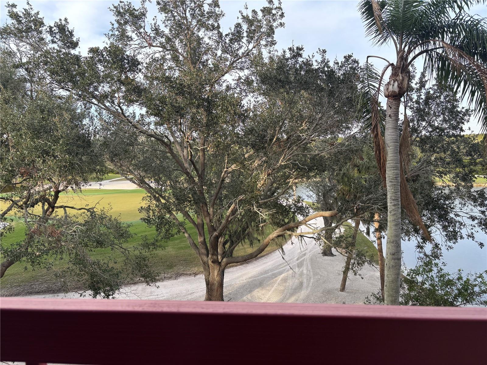 2333 FEATHER SOUND DR #B301, CLEARWATER, FL, 33762