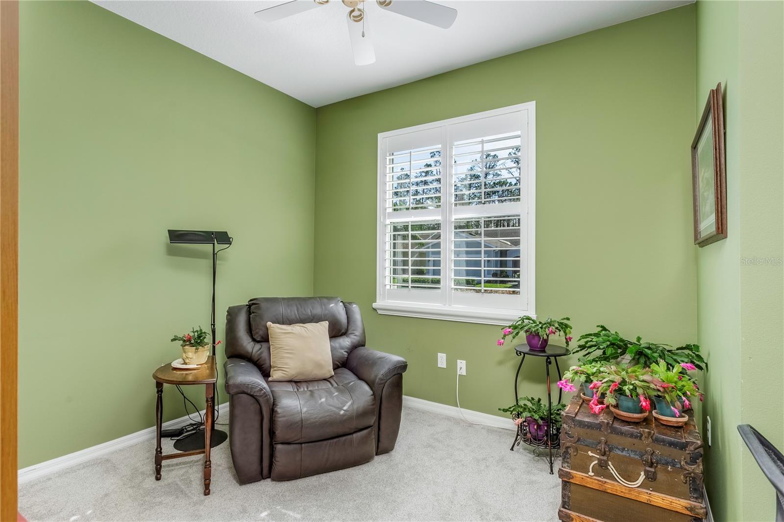 7304 CLEOPATRA DR, LAND O LAKES, FL, 34637