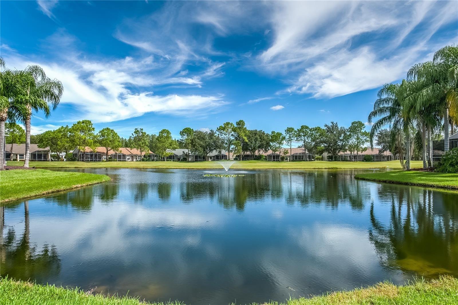 7304 CLEOPATRA DR, LAND O LAKES, FL, 34637