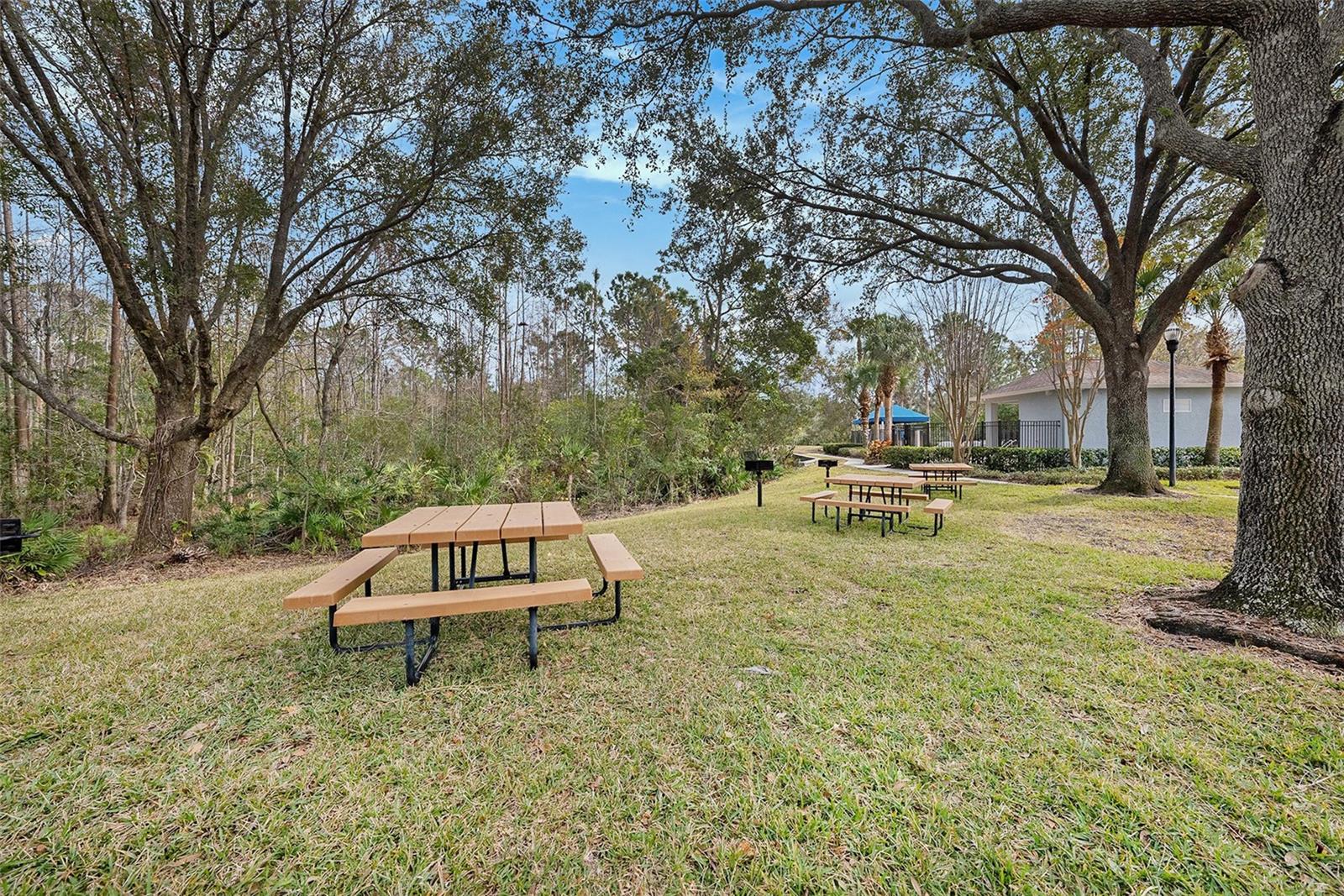 10010 BUCKLIN ST, TAMPA, FL, 33625