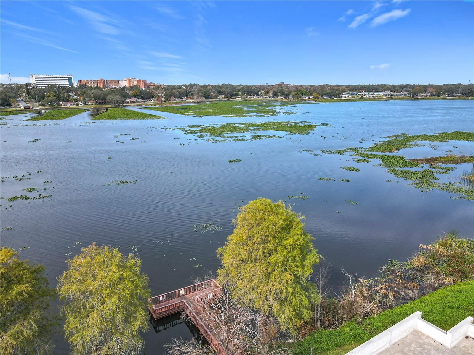 1130 N LAKE PARKER AVE #A306, LAKELAND, FL, 33805