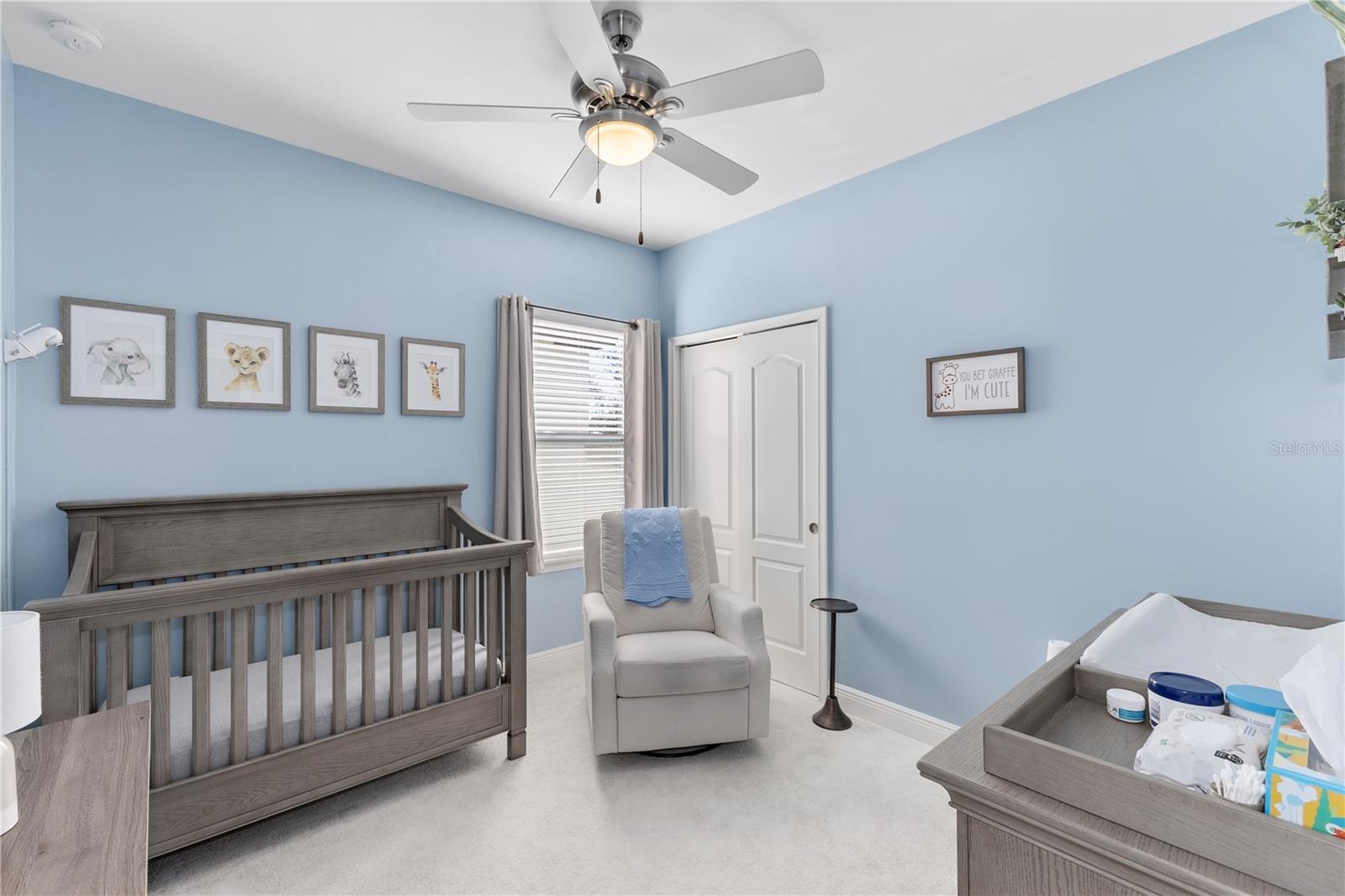11560 ASHLIN PARK BLVD, WINDERMERE, FL, 34786