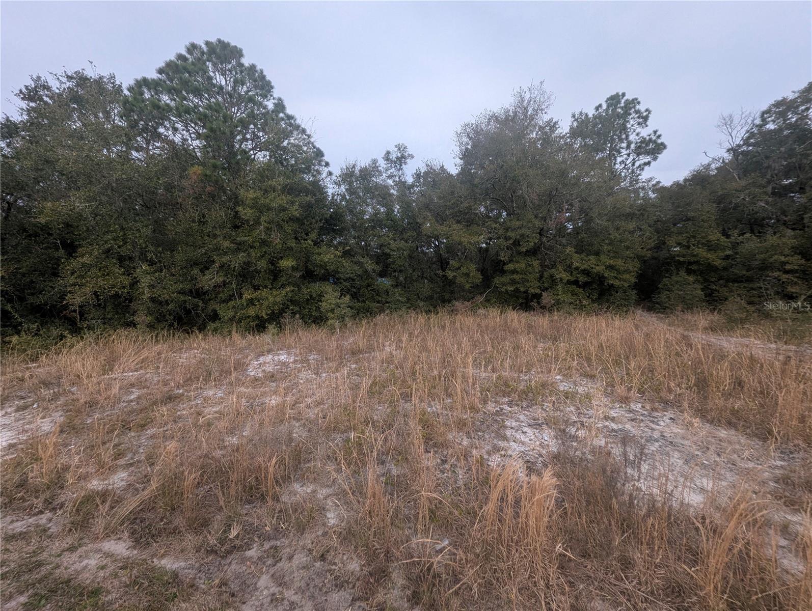 TBD LOCUST RUN, OCALA, FL, 34472