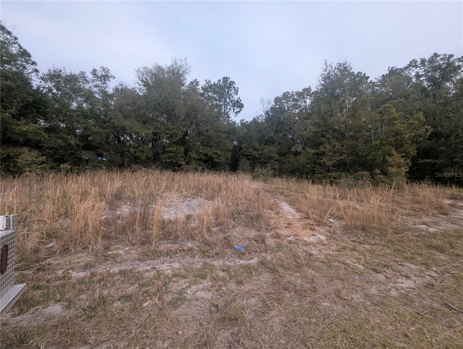 TBD LOCUST RUN, OCALA, FL, 34472