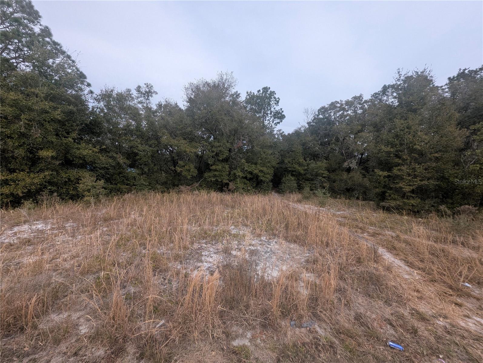 TBD LOCUST RUN, OCALA, FL, 34472