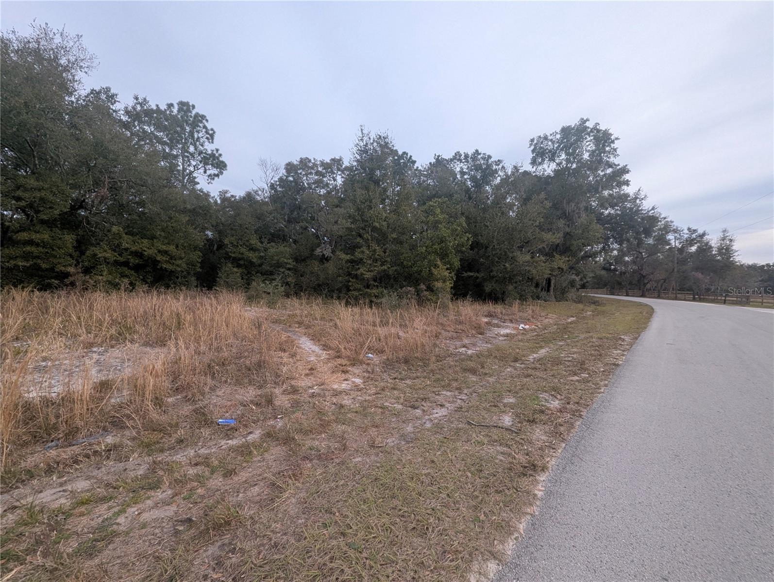TBD LOCUST RUN, OCALA, FL, 34472