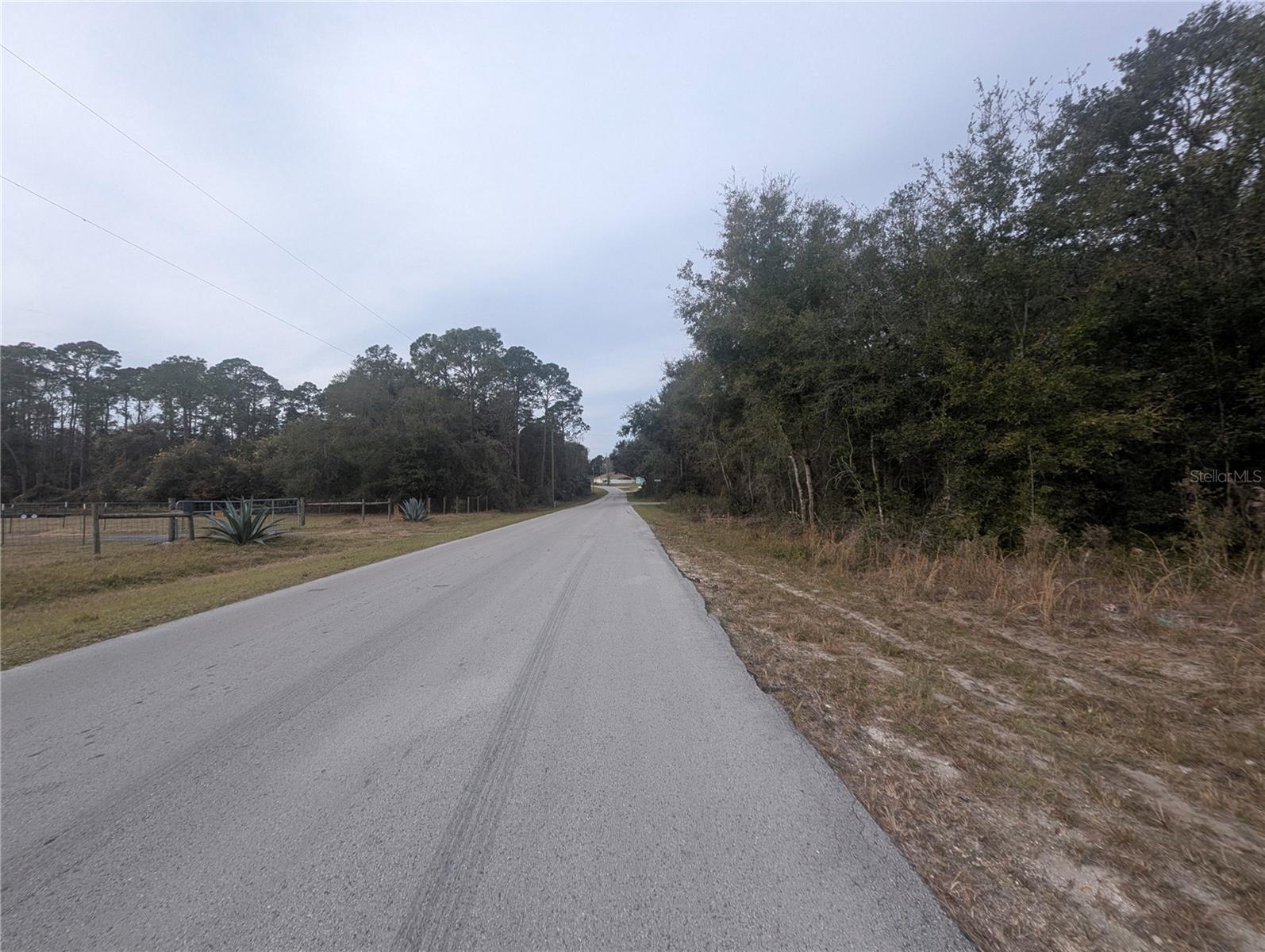 TBD LOCUST RUN, OCALA, FL, 34472