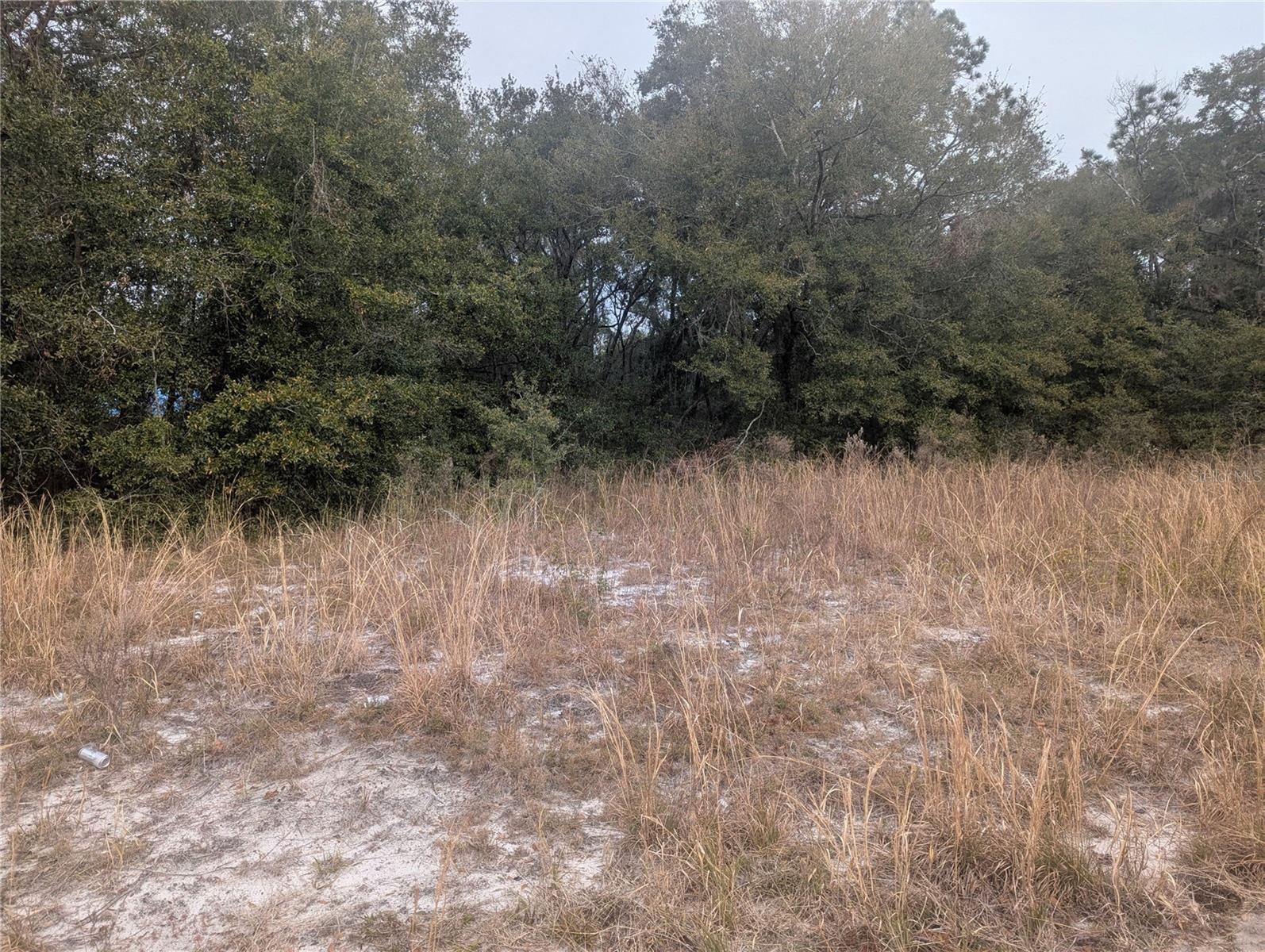 TBD LOCUST RUN, OCALA, FL, 34472
