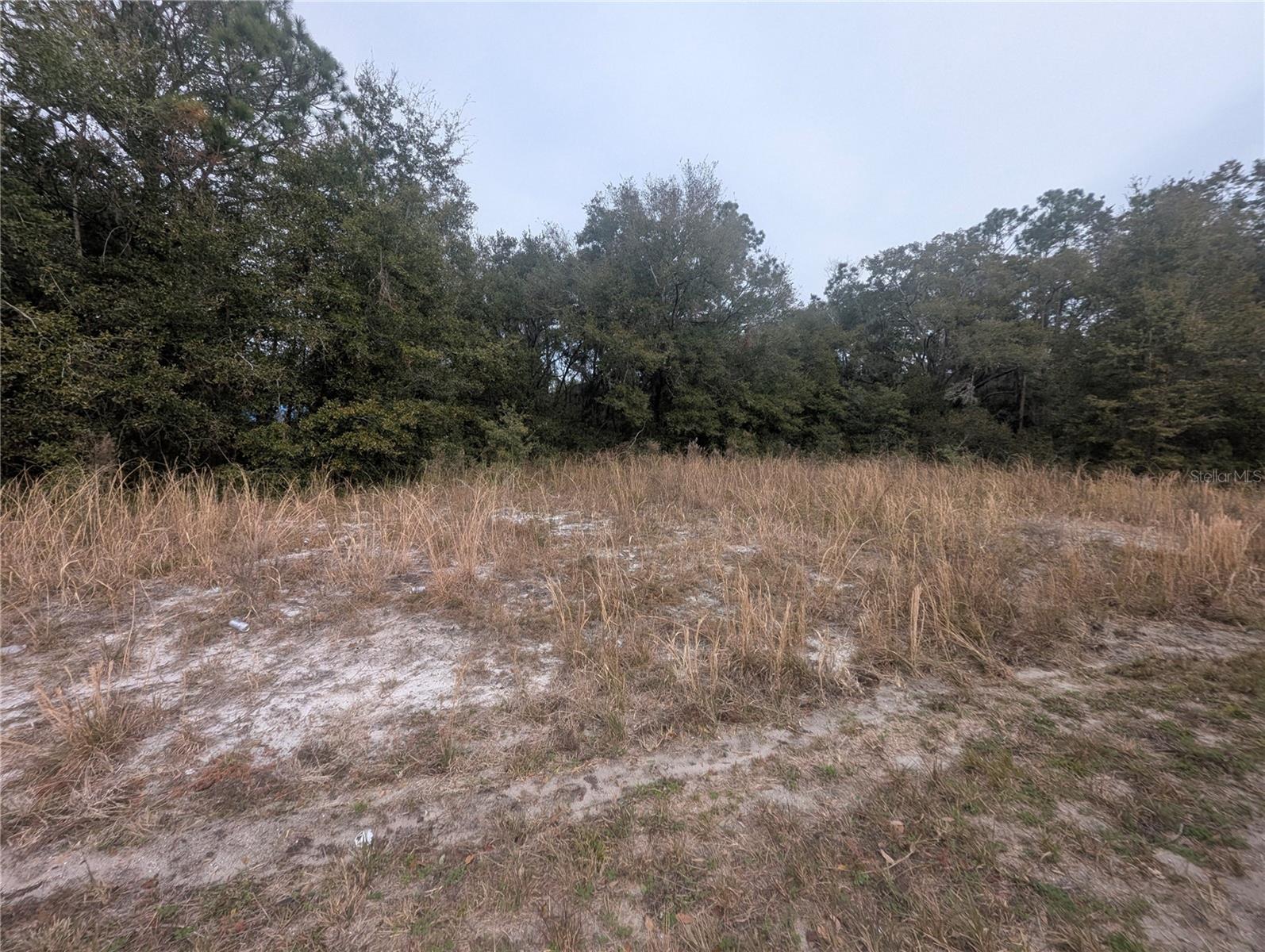 TBD LOCUST RUN, OCALA, FL, 34472