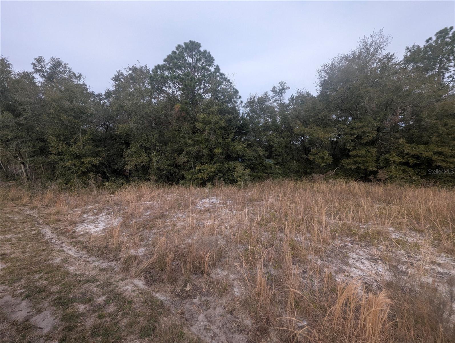 TBD LOCUST RUN, OCALA, FL, 34472