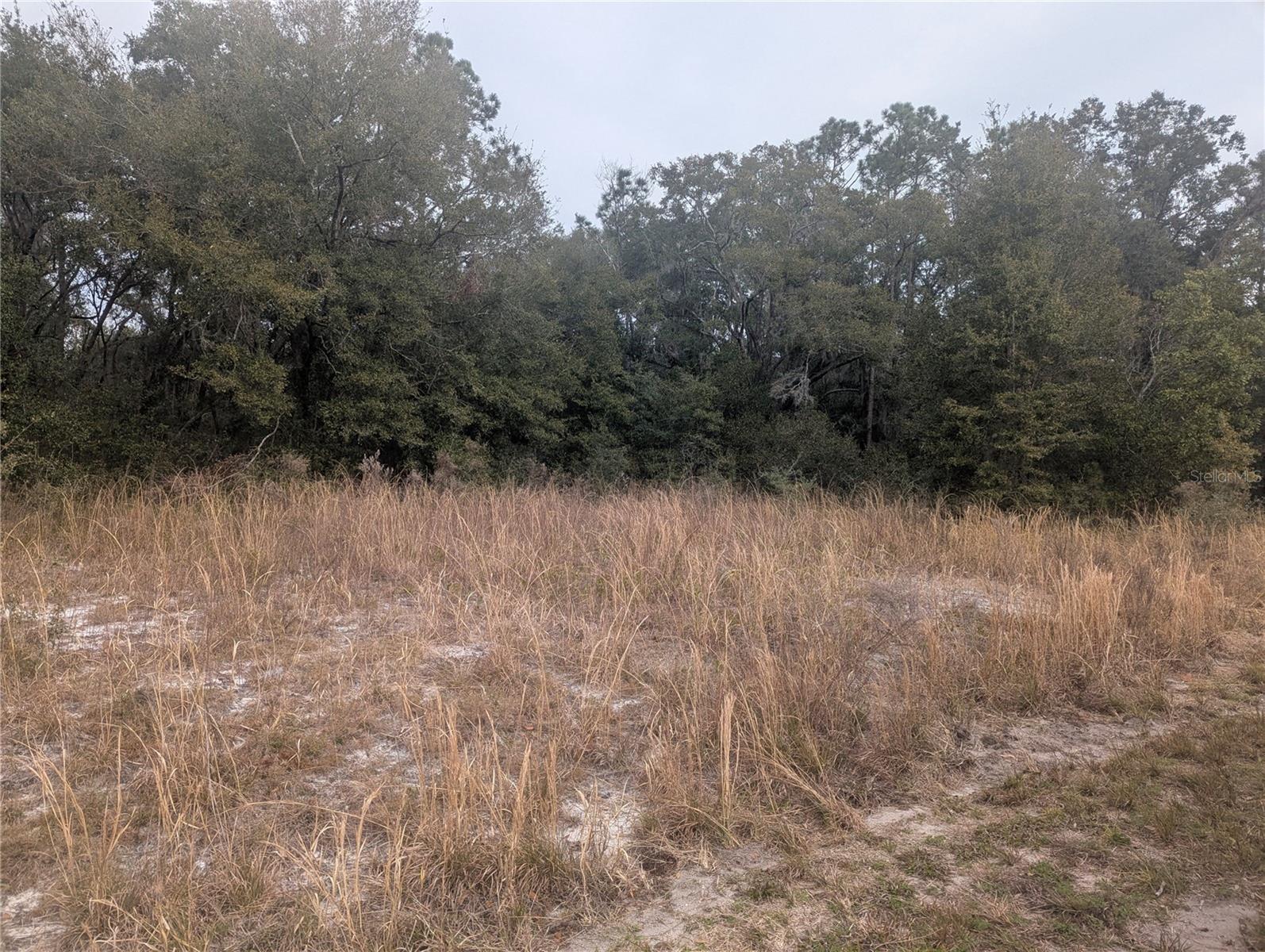 TBD LOCUST RUN, OCALA, FL, 34472