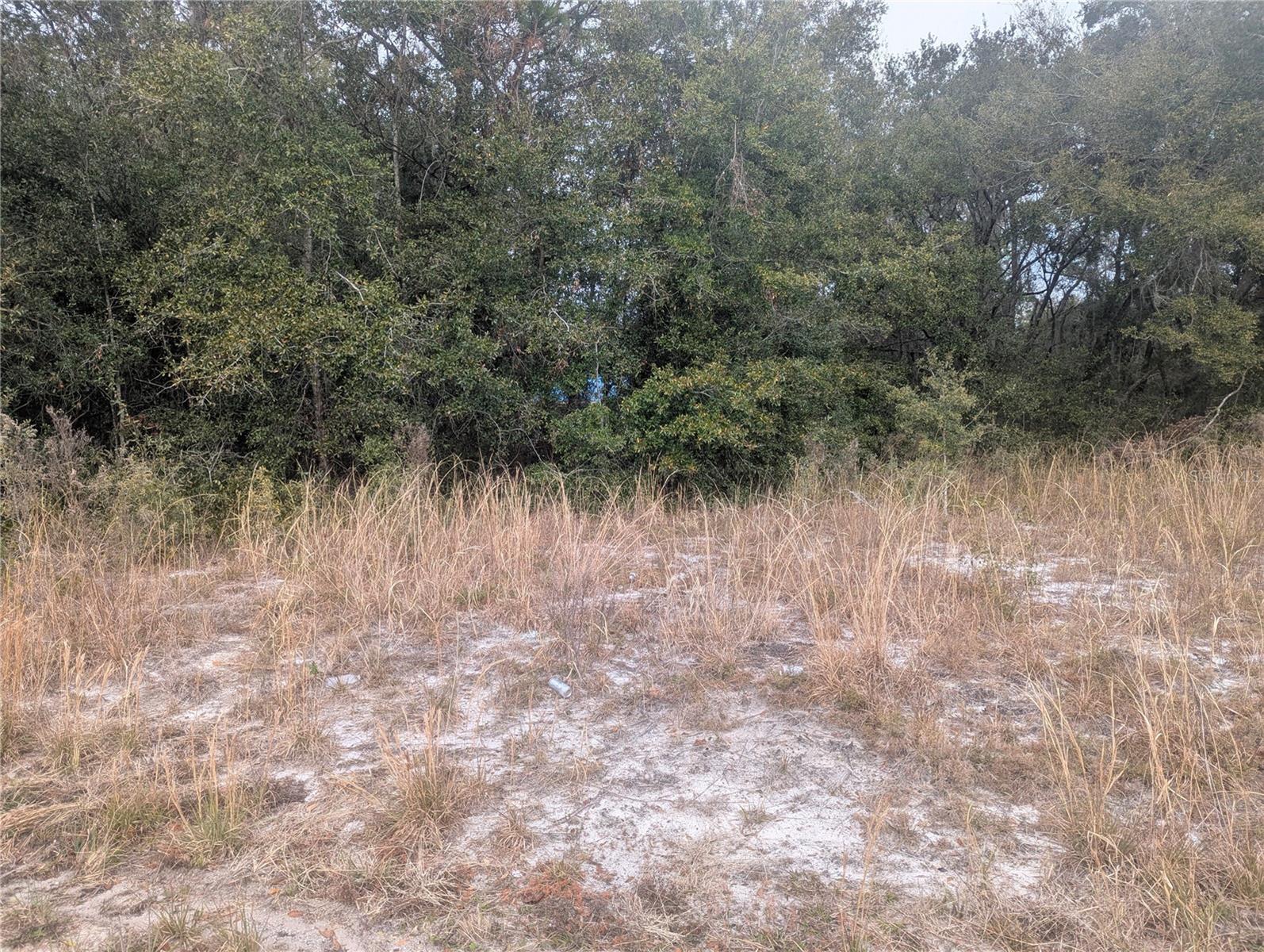 TBD LOCUST RUN, OCALA, FL, 34472