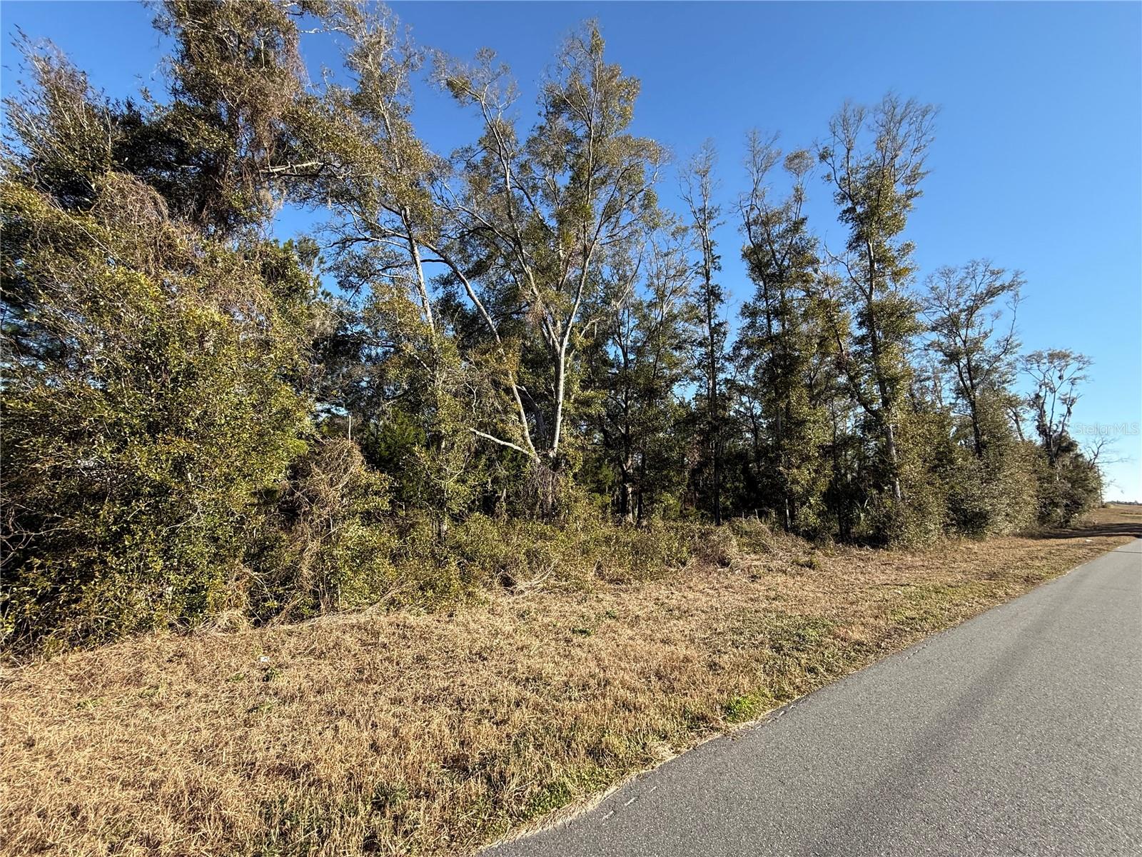 105 ST, ARCHER, FL, 32618