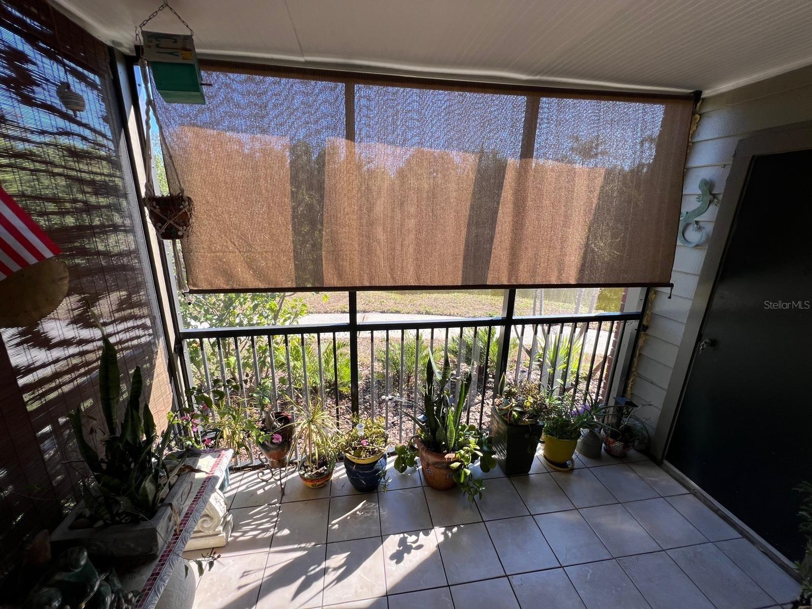 9100 DR MARTIN LUTHER KING JR ST N #313, ST PETERSBURG, FL, 33702