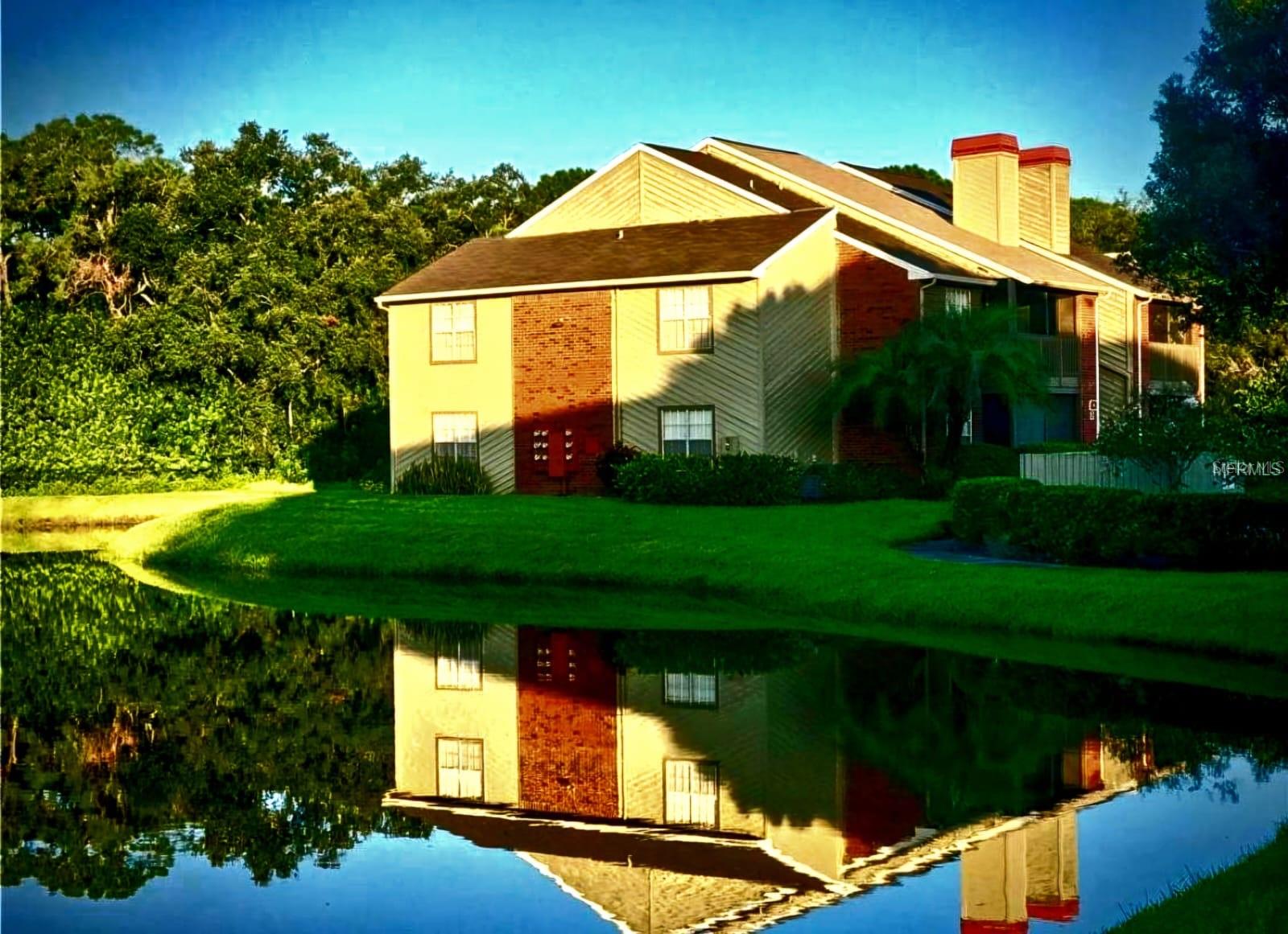 9100 DR MARTIN LUTHER KING JR ST N #313, ST PETERSBURG, FL, 33702