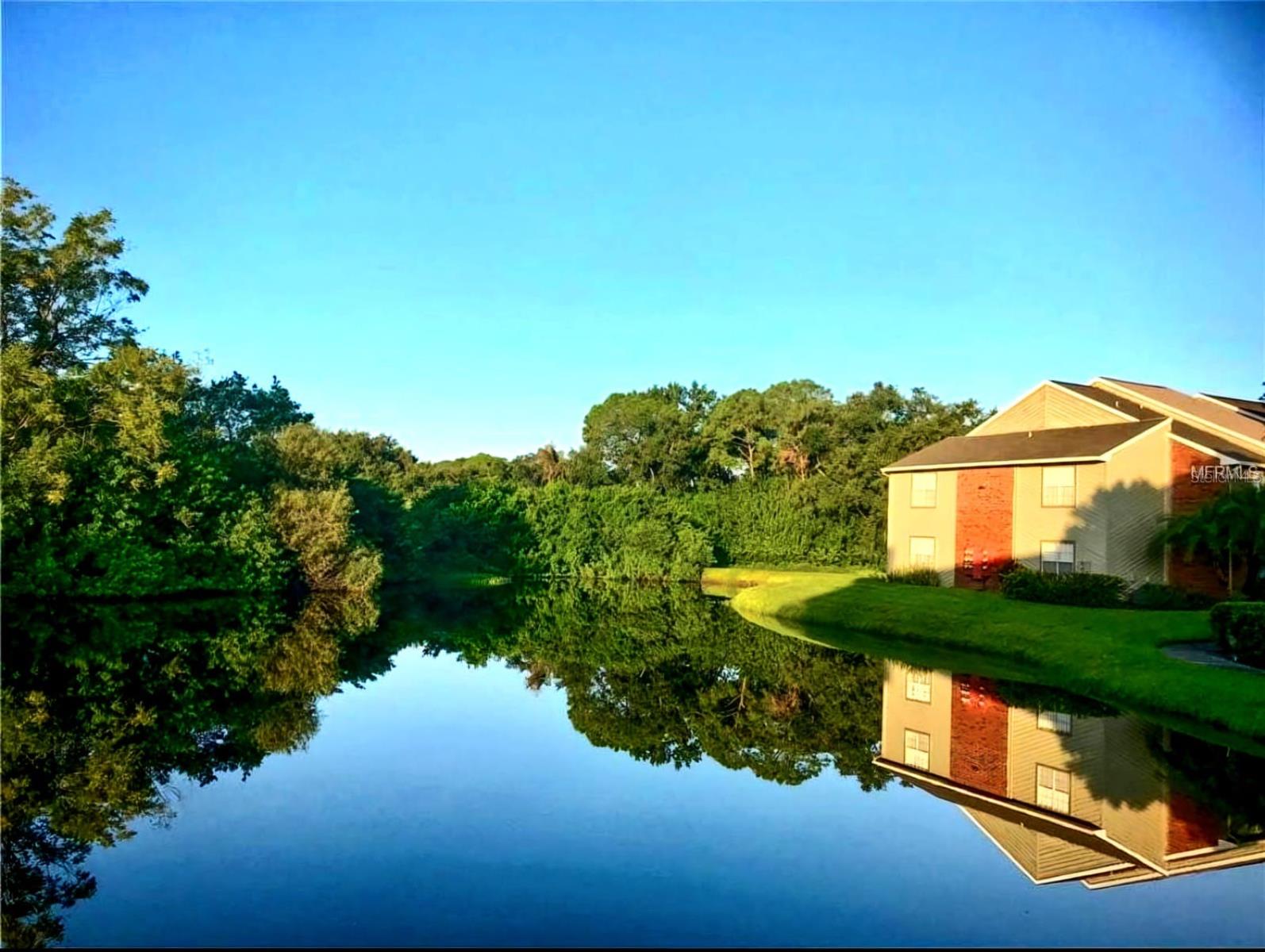 9100 DR MARTIN LUTHER KING JR ST N #313, ST PETERSBURG, FL, 33702