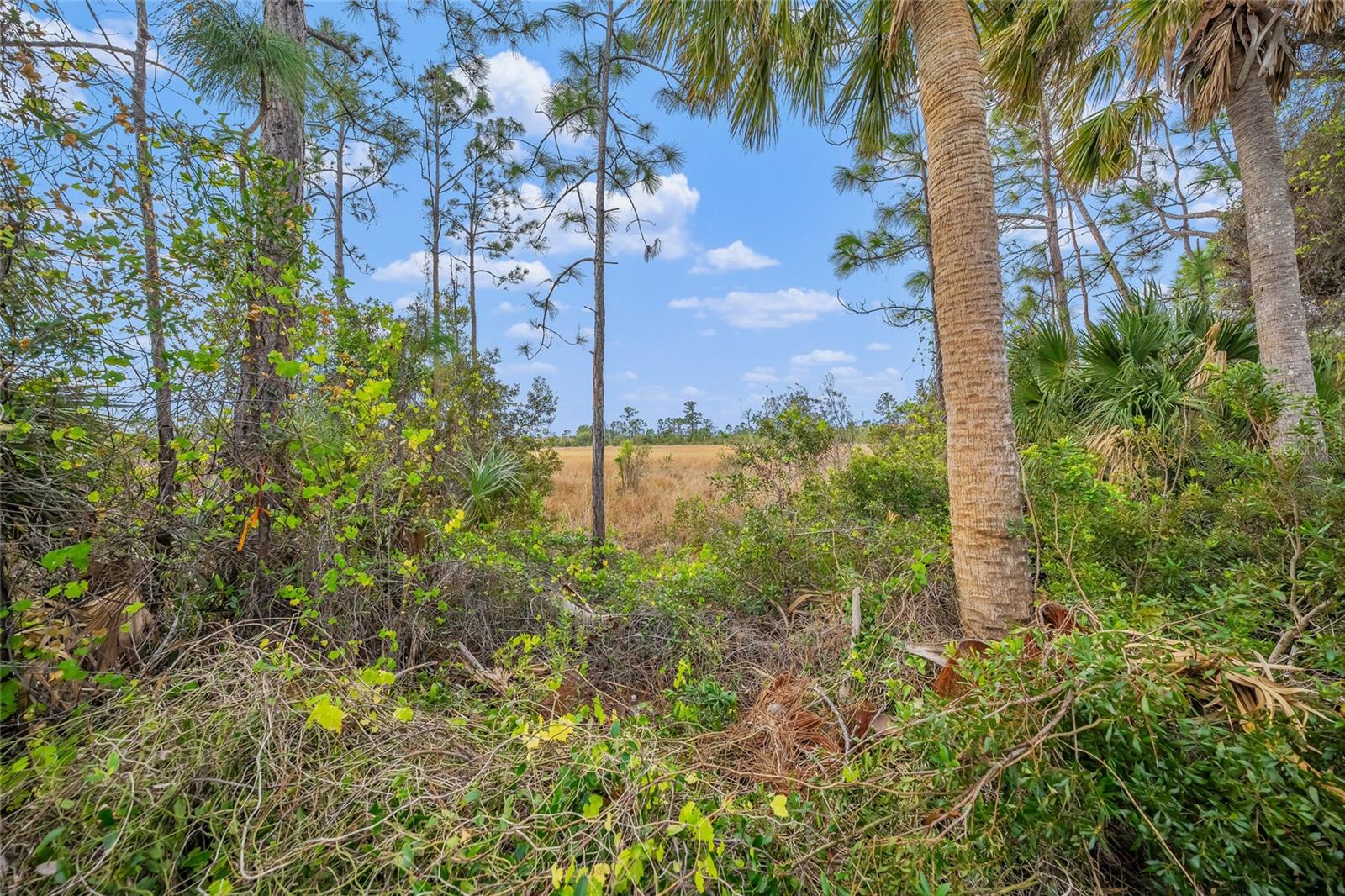 200 ALTAMURA CIR, NOKOMIS, FL, 34275