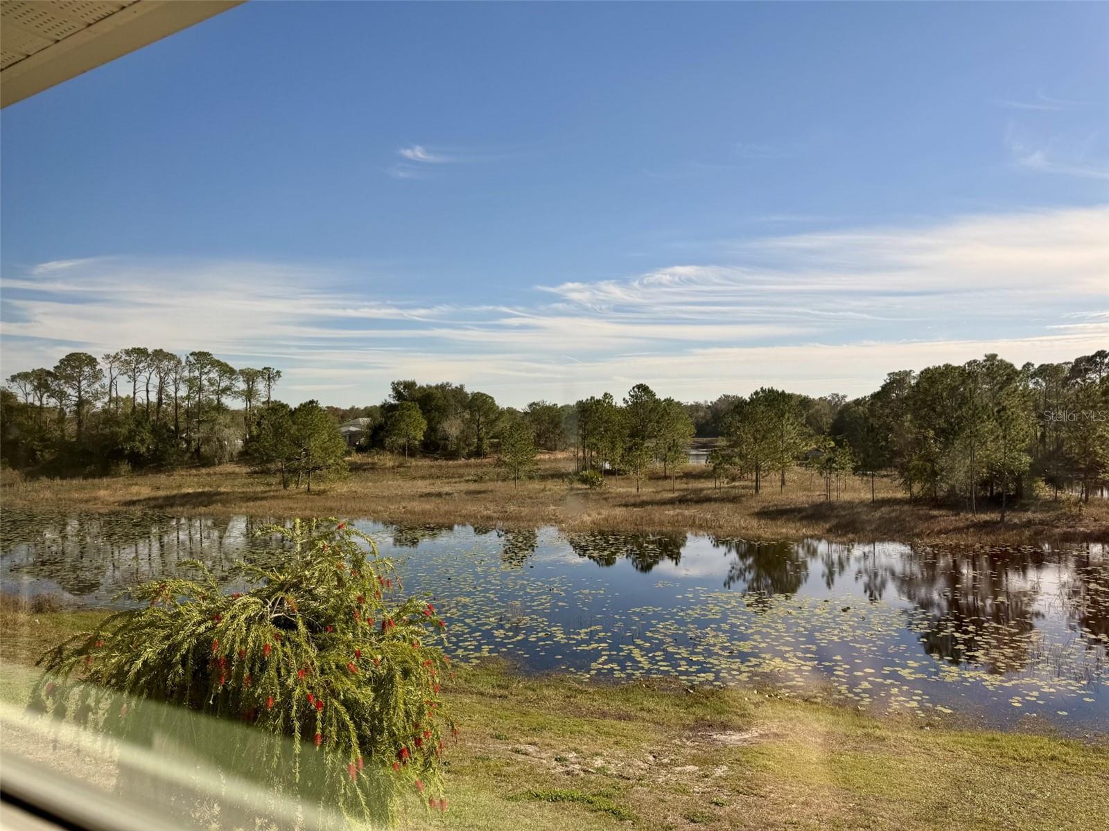 7400 SPRING HILL DR #209, SPRING HILL, FL, 34606