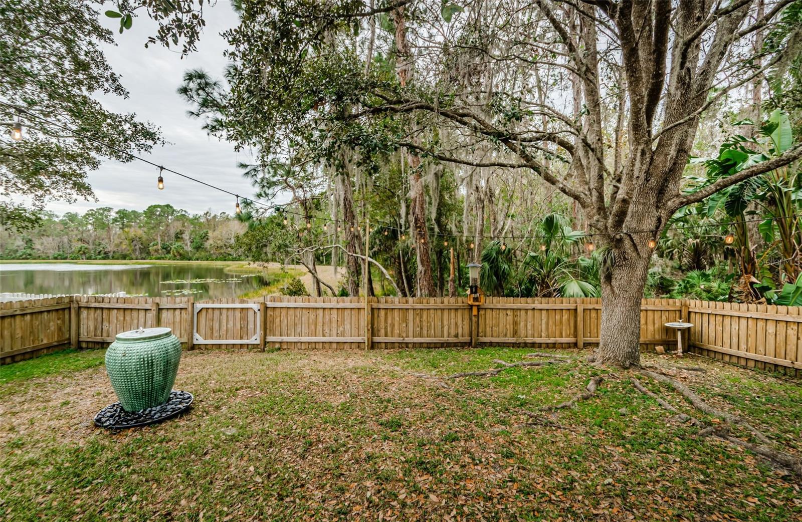 19144 MEADOW PINE DR, TAMPA, FL, 33647