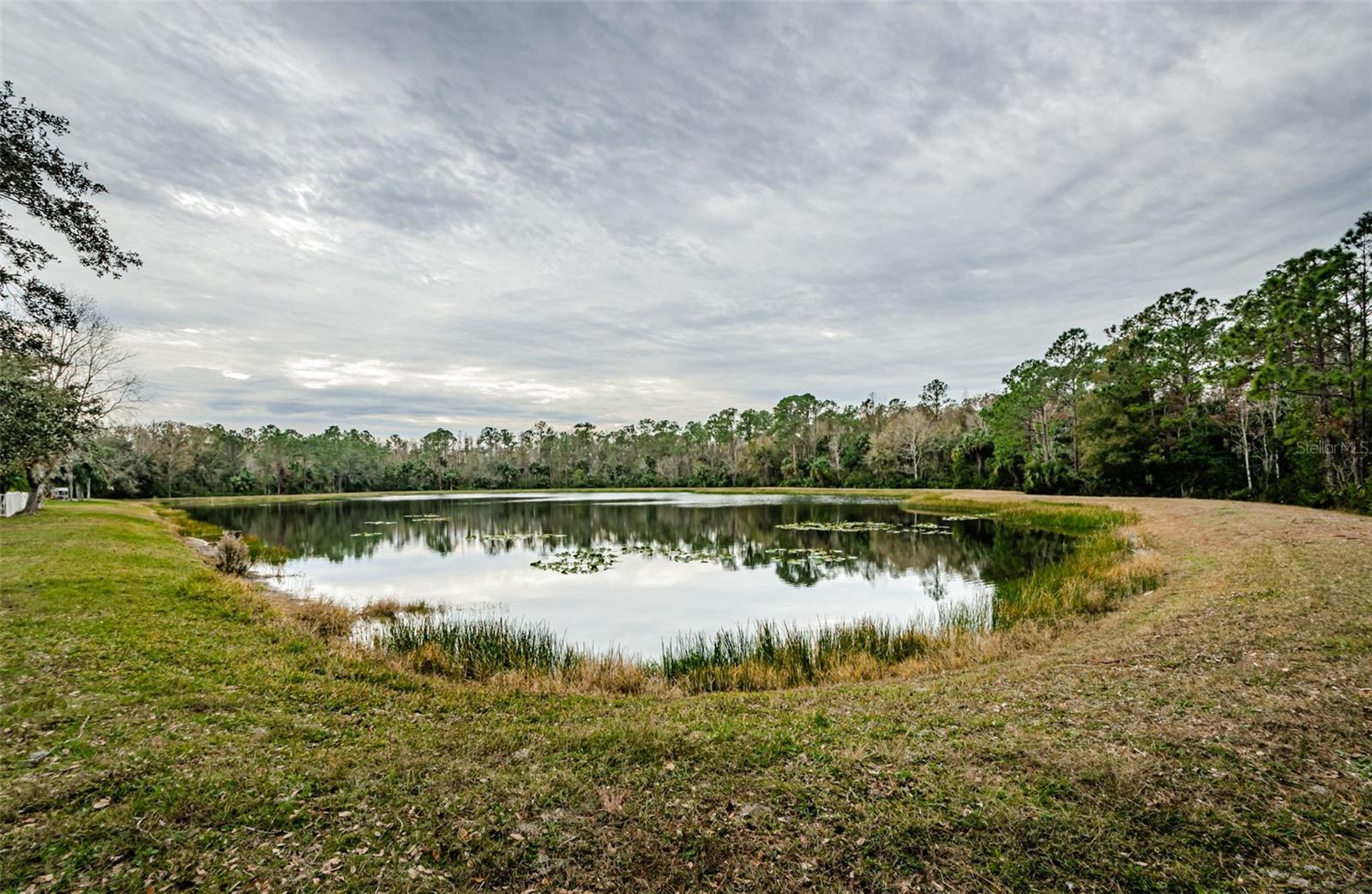 19144 MEADOW PINE DR, TAMPA, FL, 33647