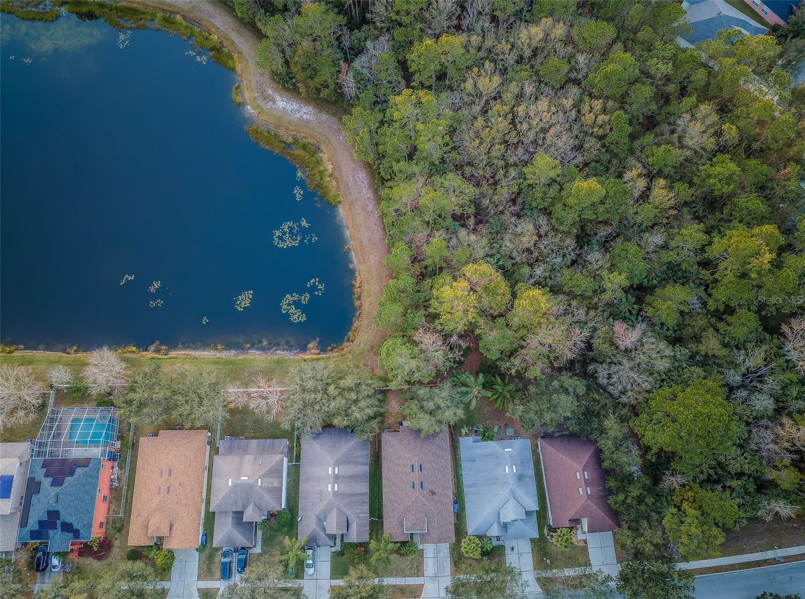 19144 MEADOW PINE DR, TAMPA, FL, 33647