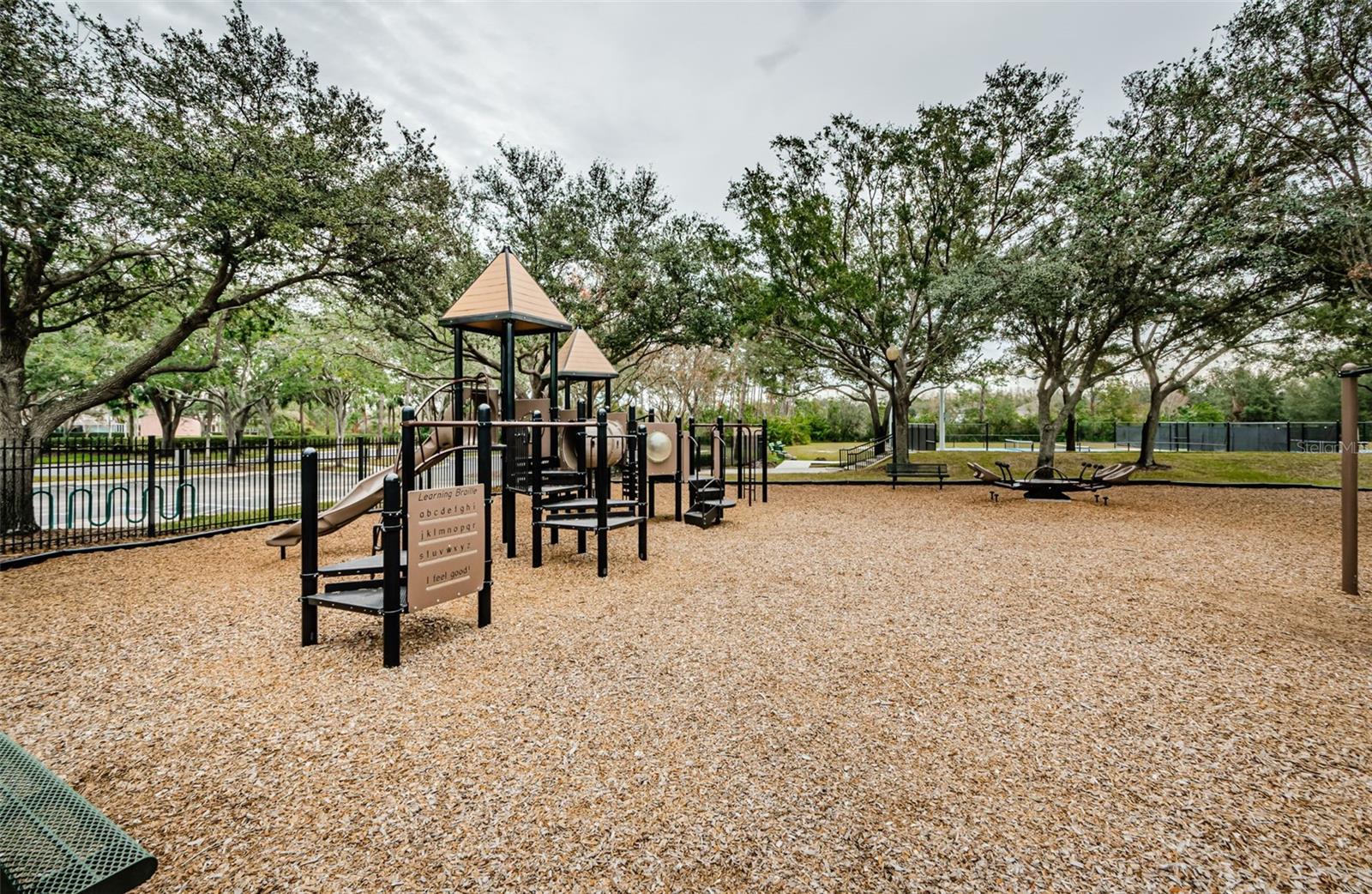19144 MEADOW PINE DR, TAMPA, FL, 33647