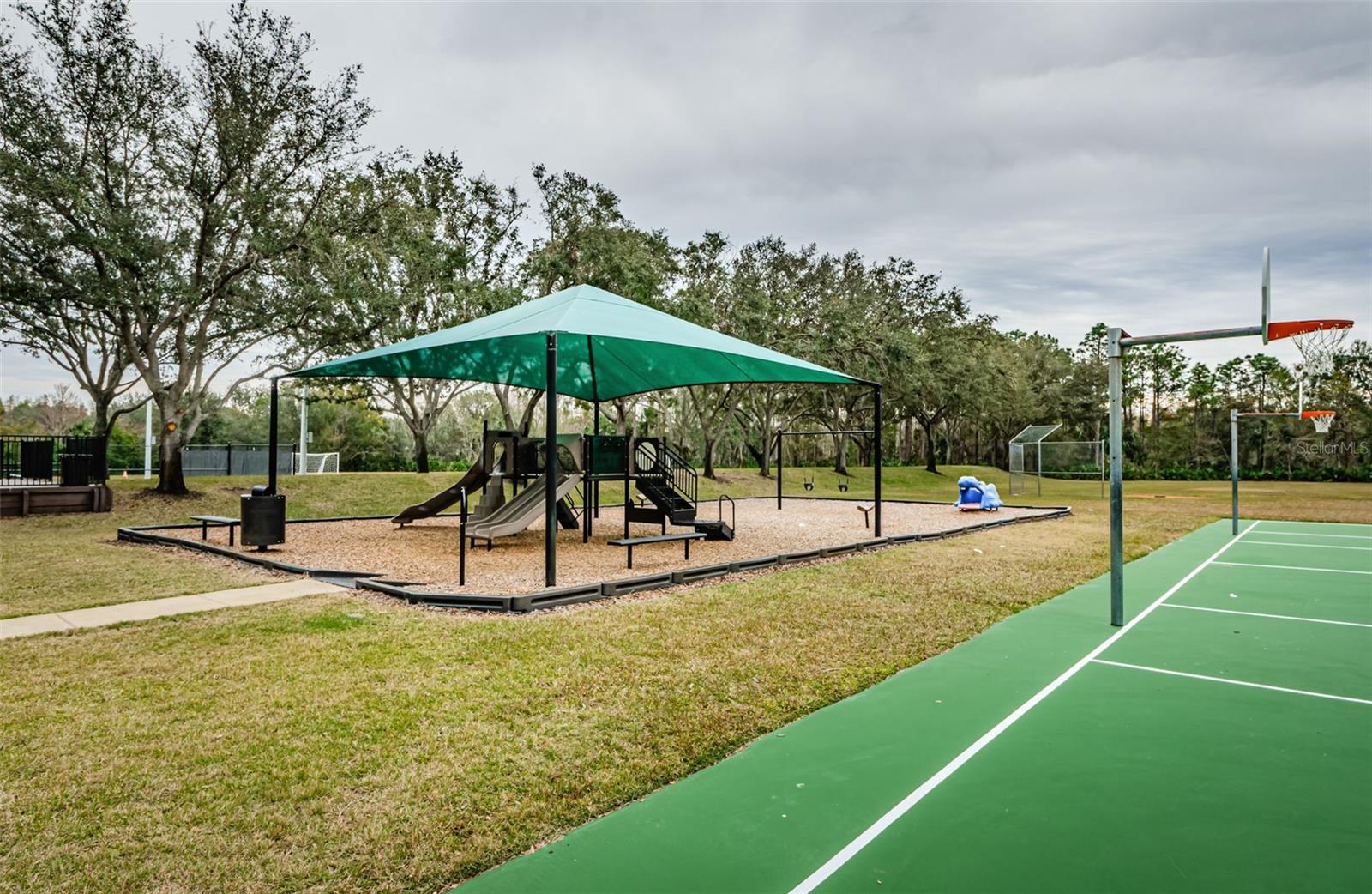 19144 MEADOW PINE DR, TAMPA, FL, 33647