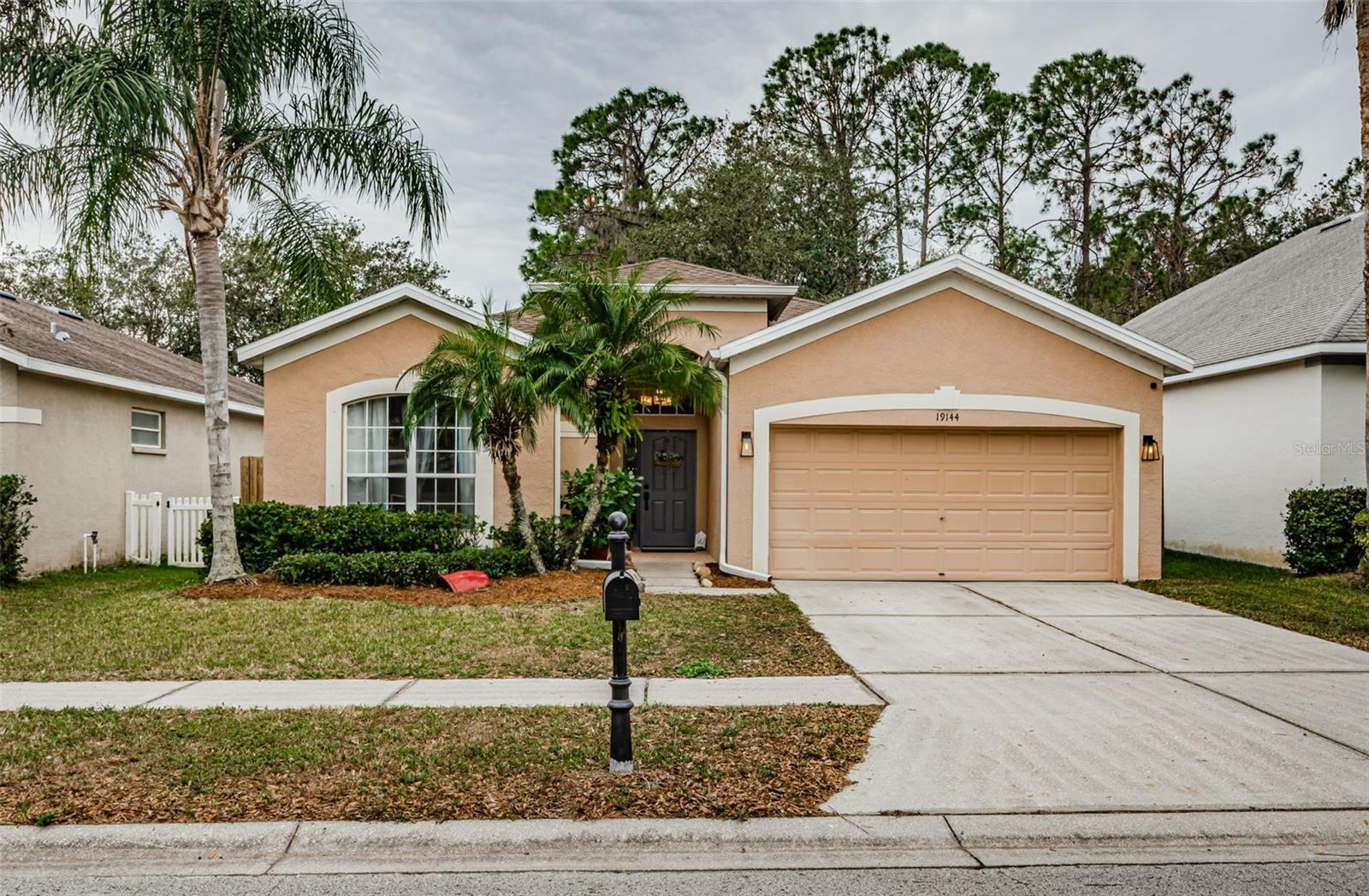 19144 MEADOW PINE DR, TAMPA, FL, 33647