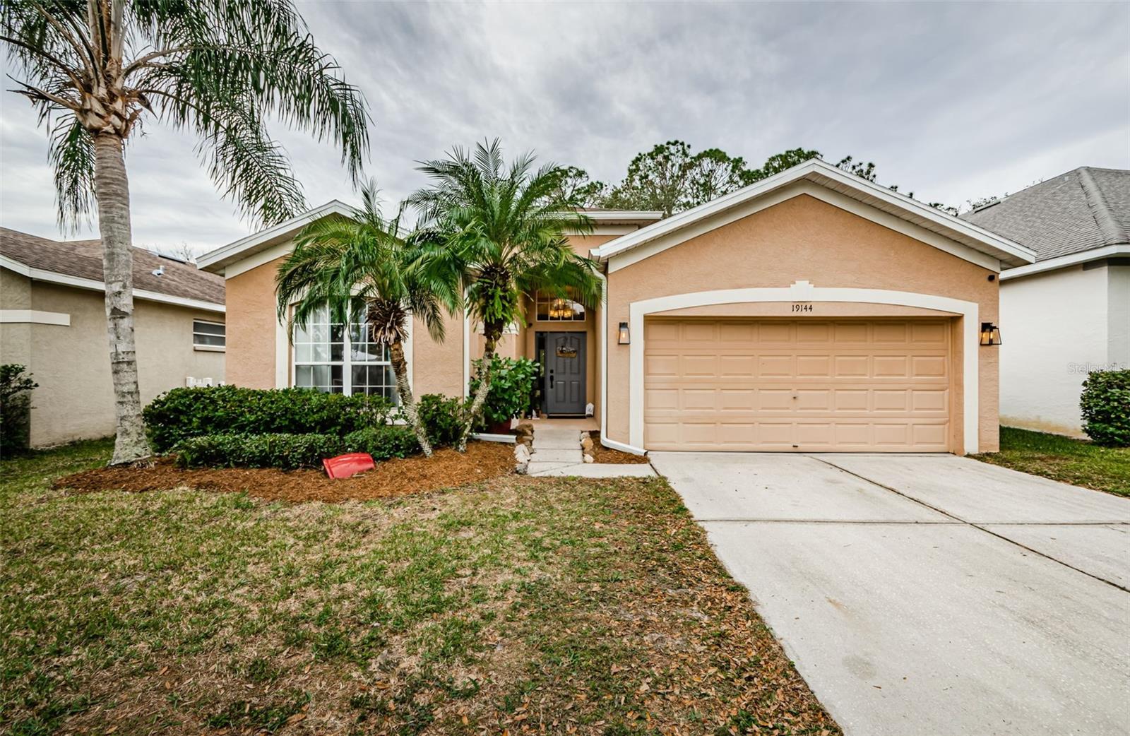 19144 MEADOW PINE DR, TAMPA, FL, 33647