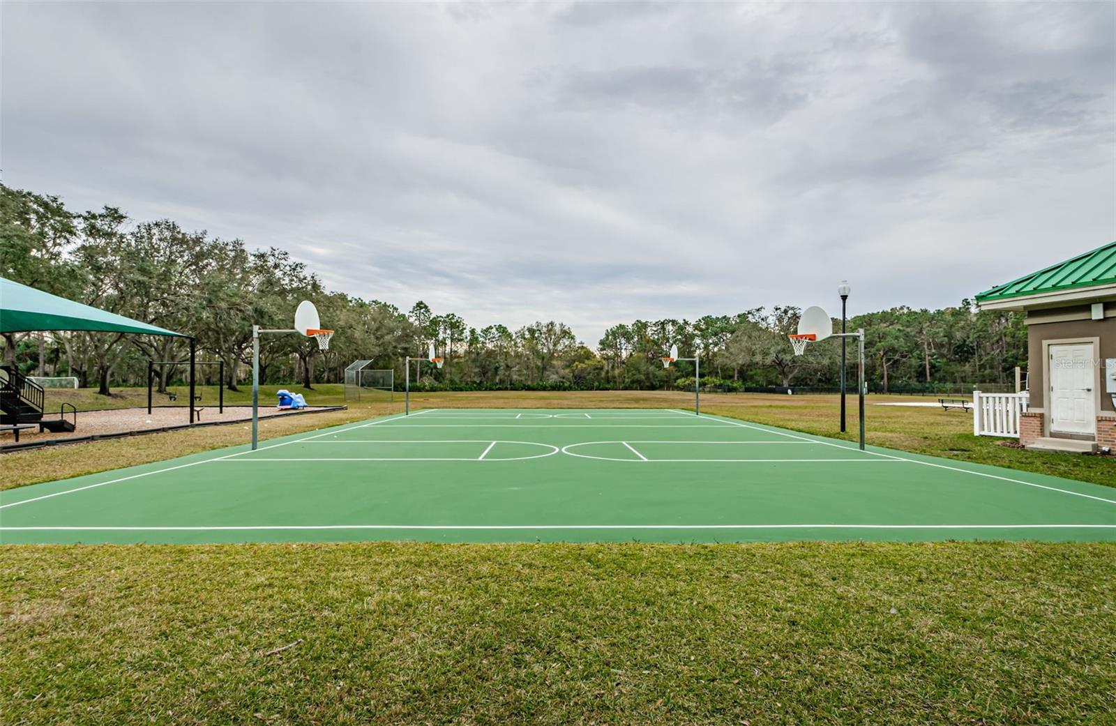 19144 MEADOW PINE DR, TAMPA, FL, 33647