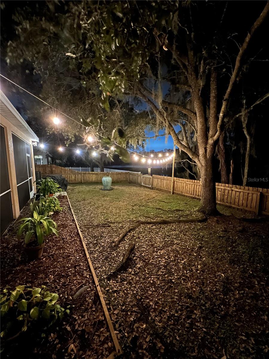 19144 MEADOW PINE DR, TAMPA, FL, 33647