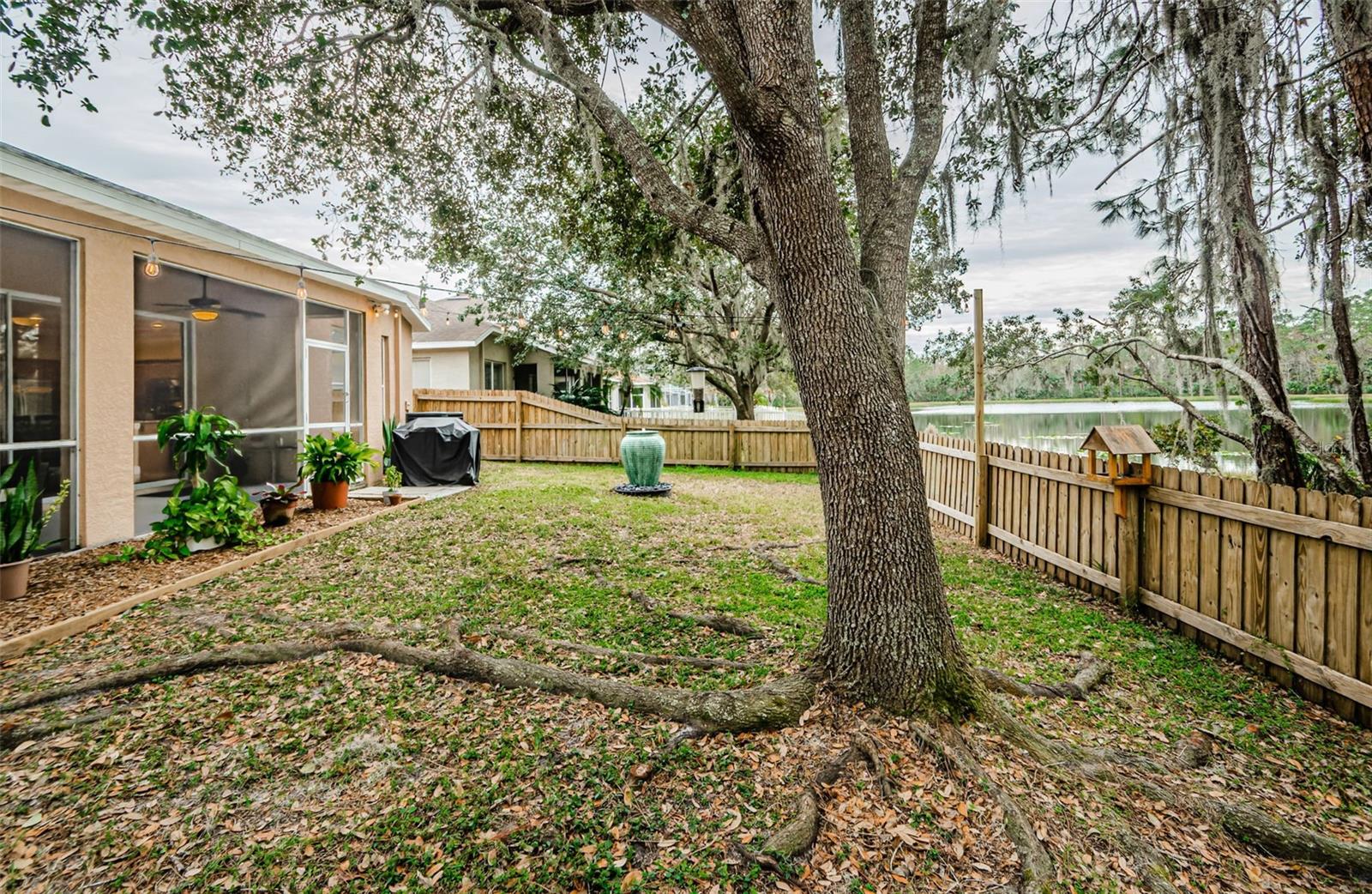19144 MEADOW PINE DR, TAMPA, FL, 33647