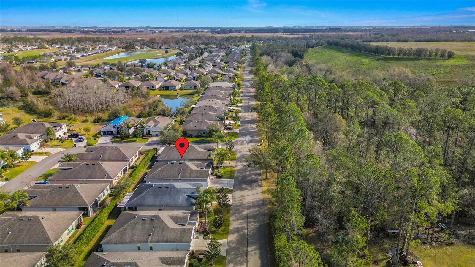 29149 COCHITI LAKE DR, SAN ANTONIO, FL, 33576