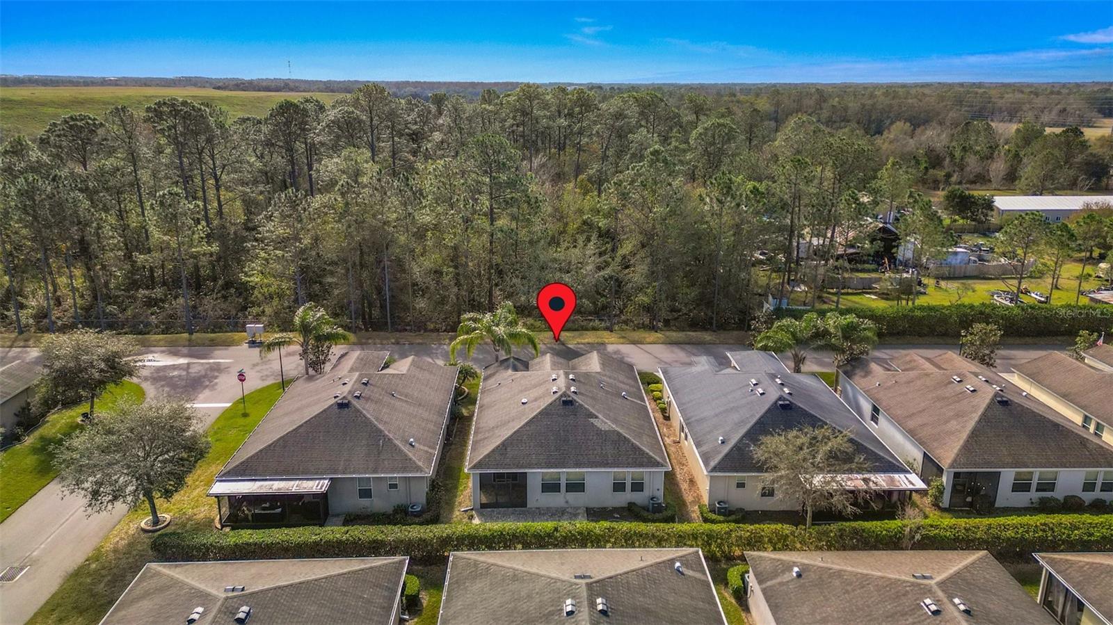 29149 COCHITI LAKE DR, SAN ANTONIO, FL, 33576