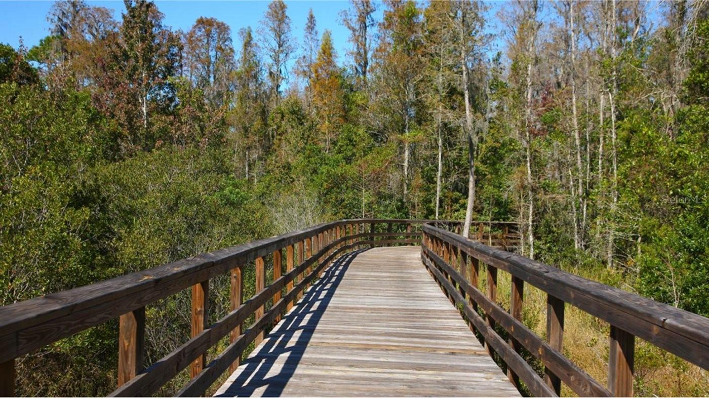 21840 CREST MEADOW DR, LAND O LAKES, FL, 34637