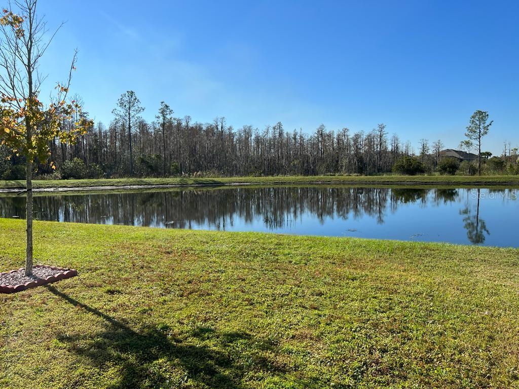 21840 CREST MEADOW DR, LAND O LAKES, FL, 34637