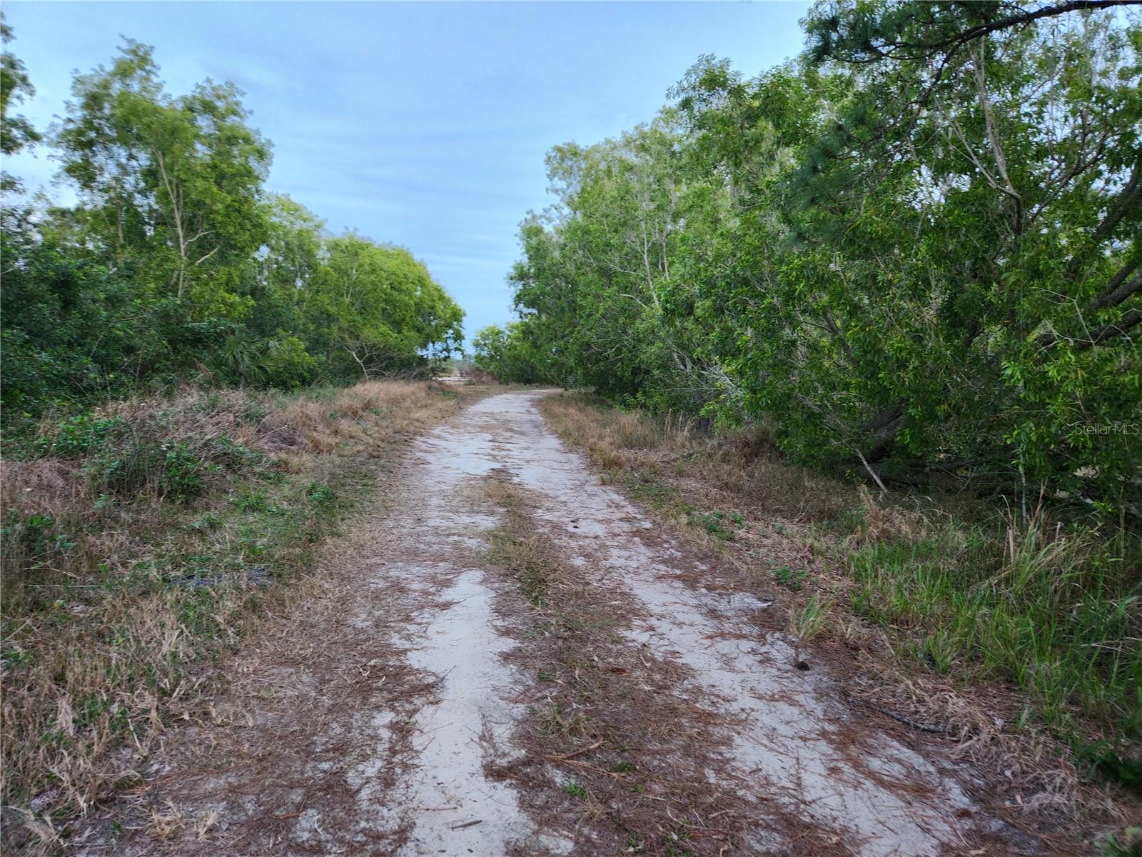 W FROSTPROOF RD #Lot 17, FROSTPROOF, FL, 33843