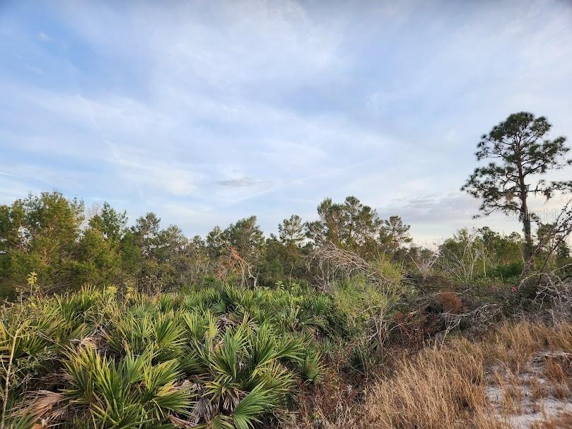 W FROSTPROOF RD #Lot 17, FROSTPROOF, FL, 33843