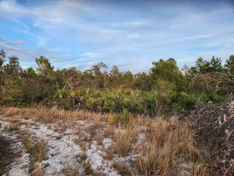 W FROSTPROOF RD #Lot 17, FROSTPROOF, FL, 33843