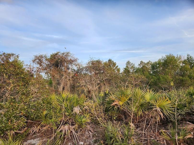 W FROSTPROOF RD #Lot 17, FROSTPROOF, FL, 33843