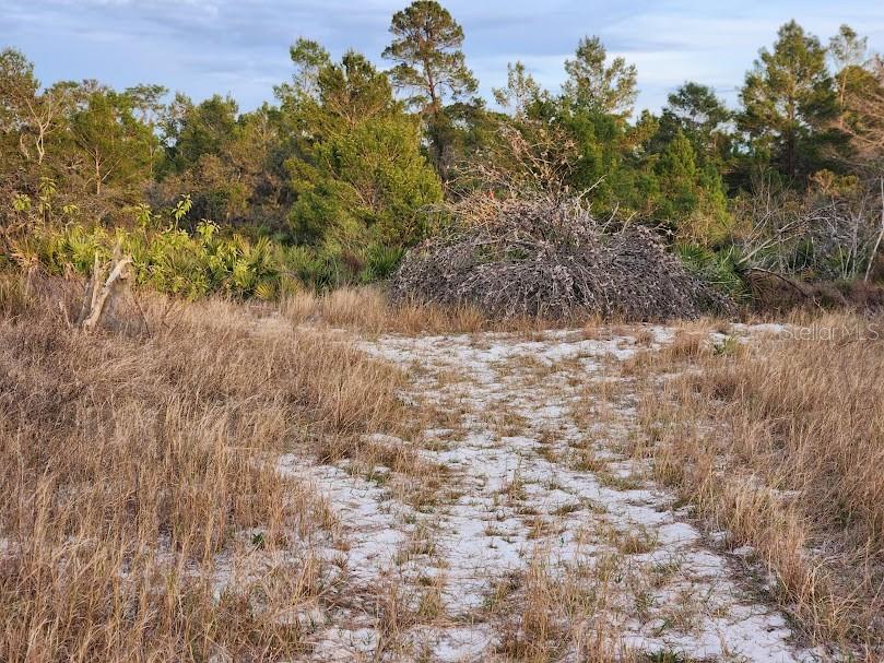 W FROSTPROOF RD #Lot 17, FROSTPROOF, FL, 33843