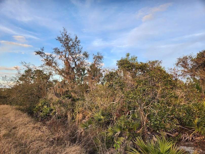 W FROSTPROOF RD #Lot 17, FROSTPROOF, FL, 33843
